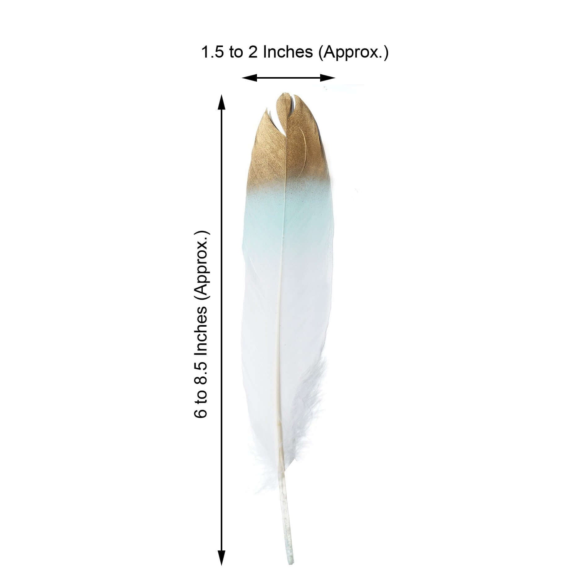 30-Pack Goose Feathers Craft Feathers Metallic Gold Tip Dual Tone Mint White - Decorative Feathers for DIY Projects