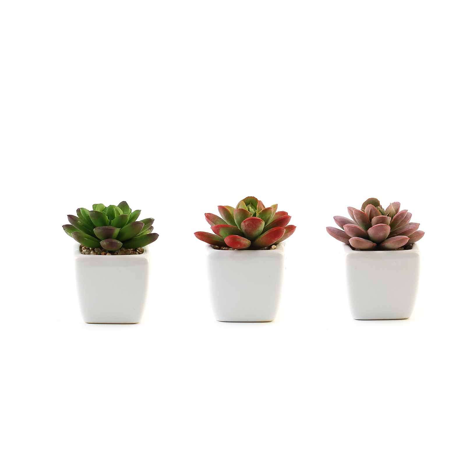 3-Pack Echeveria Elegans Artificial Succulents in Ceramic Pot - Lifelike Decorative Faux Plants for Home Office & Event Design 3