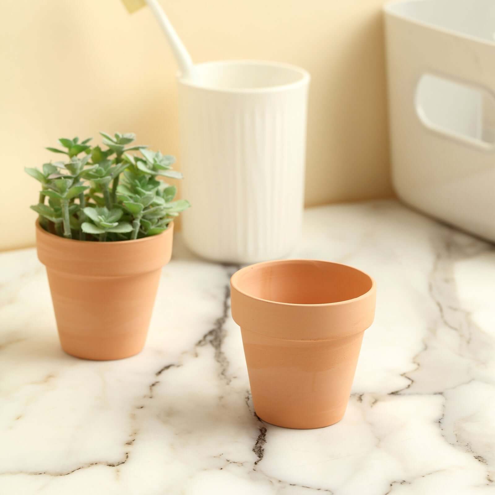 24-Pack Favor Buckets Mini Terracotta Pots Rust Design - Ceramic Clay Planters for Succulents and Cactus 2.5