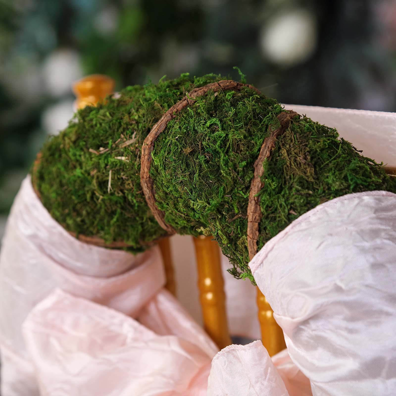 2 Pack 14 Green Natural Preserved Moss Wreaths With Twine Twig Wrap