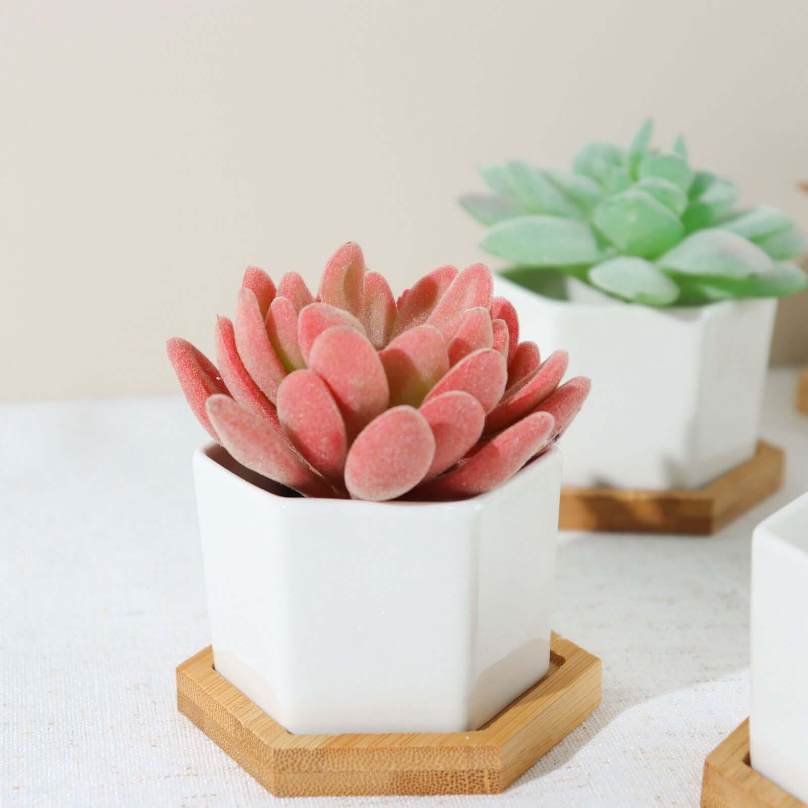 6-Pack Planter Pots Geometric Hexagon Design White - Ceramic Pots with Bamboo Tray and Removable Bottom 3