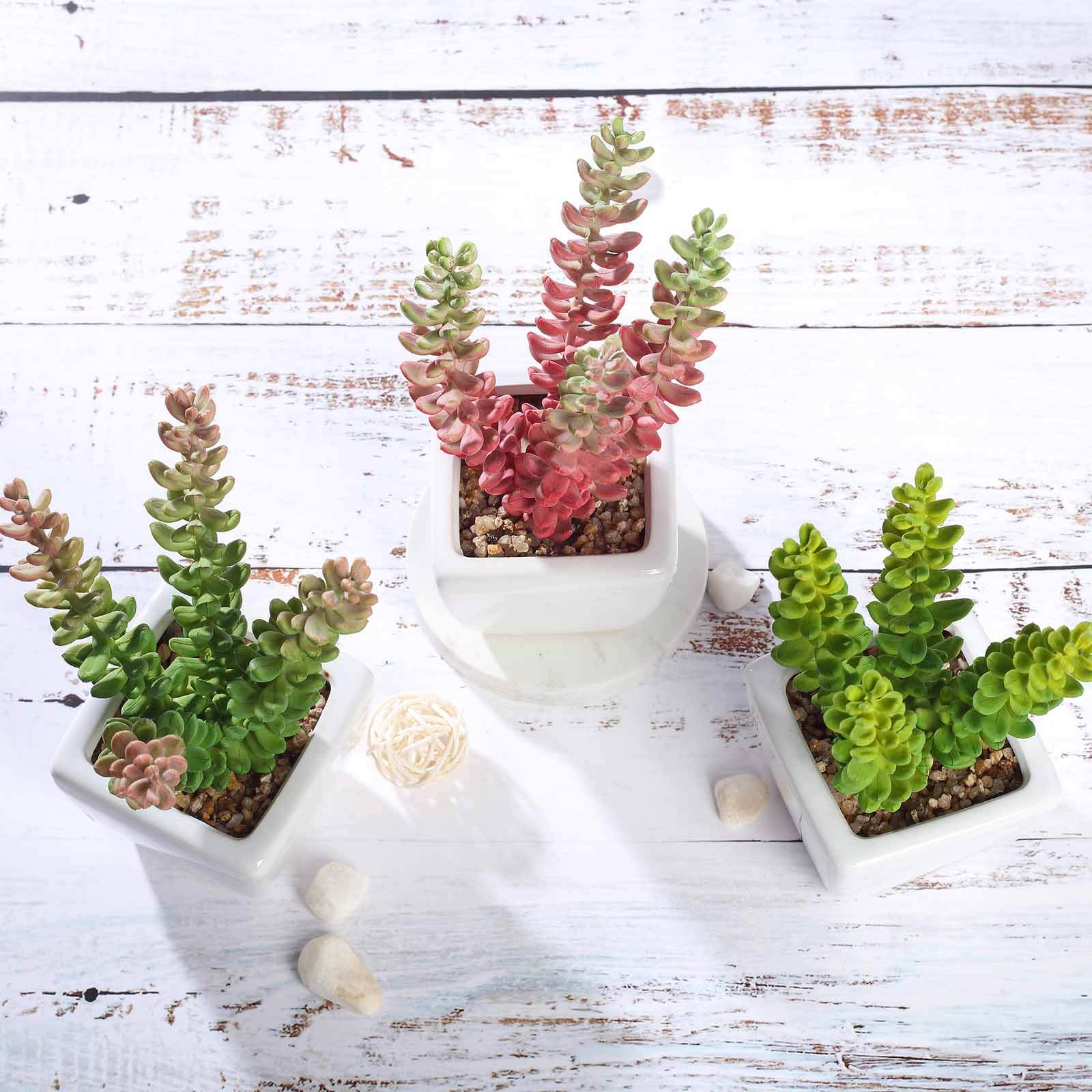 3-Pack Sedum Artificial Succulents in Ceramic Pot - Lifelike Decorative Faux Plants for Home Office & Event Design 8