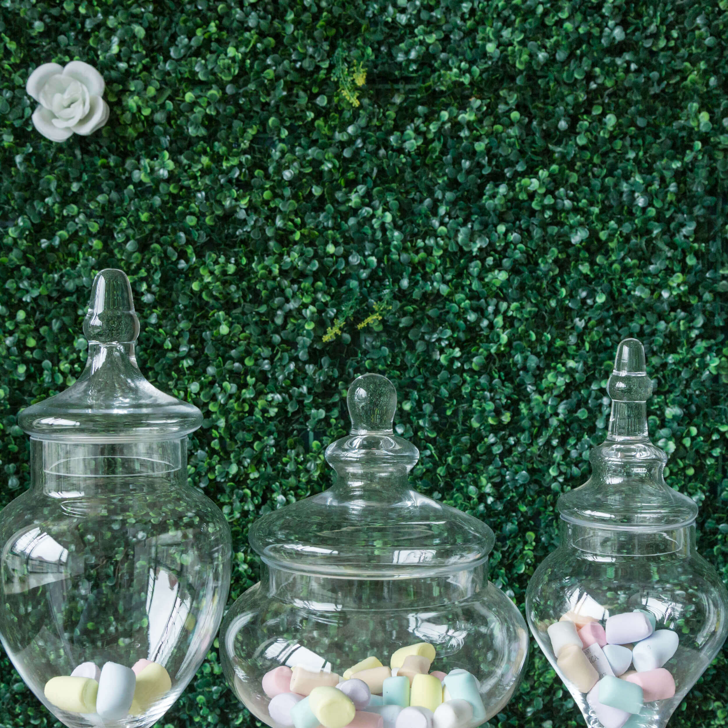 Set of 3 Glass Candy Jars Pedestal Apothecary Design Clear with Snap-On Lids - Stylish Party Favor Containers 10/12/14