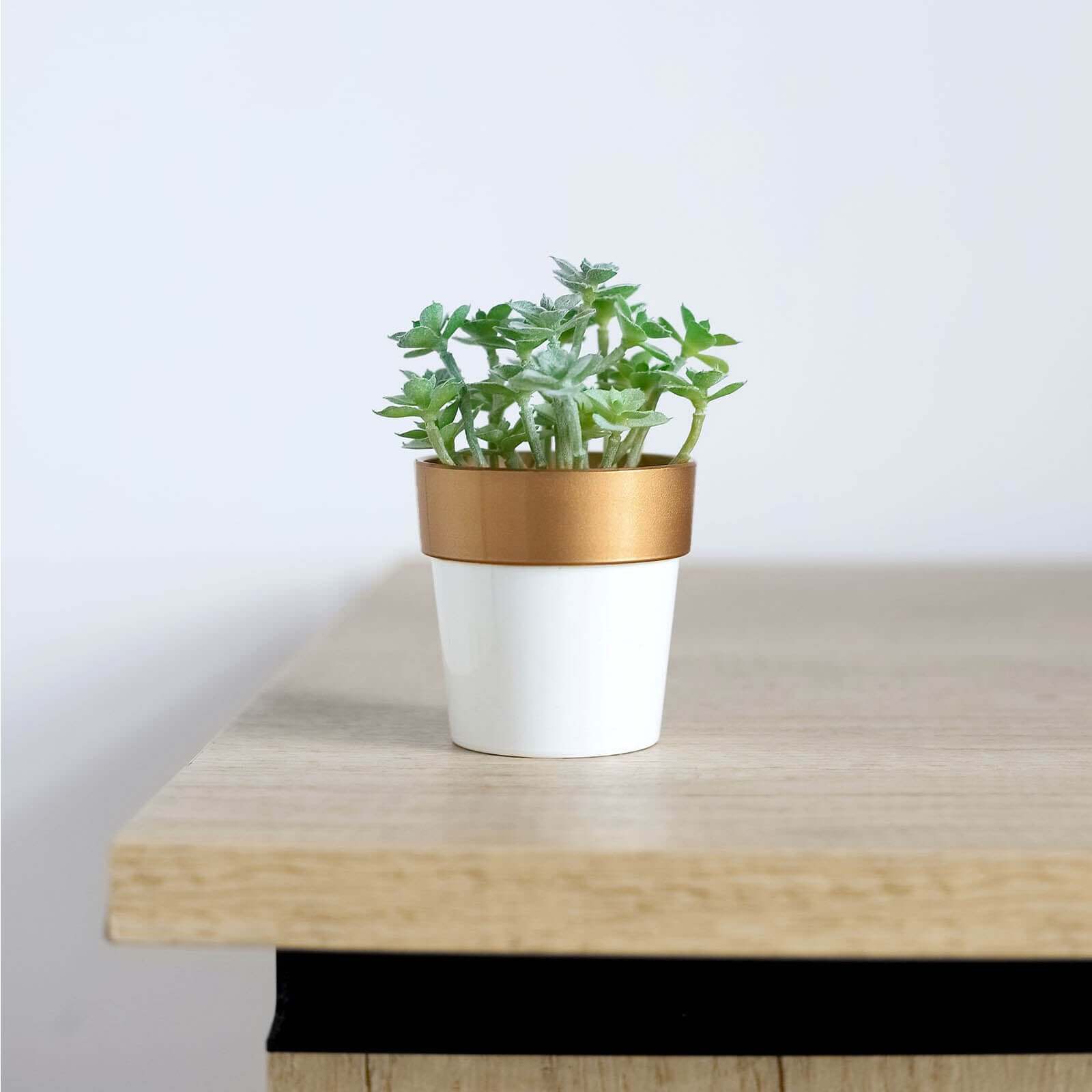 3-Pack Flower Plant Pots Small Design White with Gold Rim - Plastic Indoor Decorative Planters 3