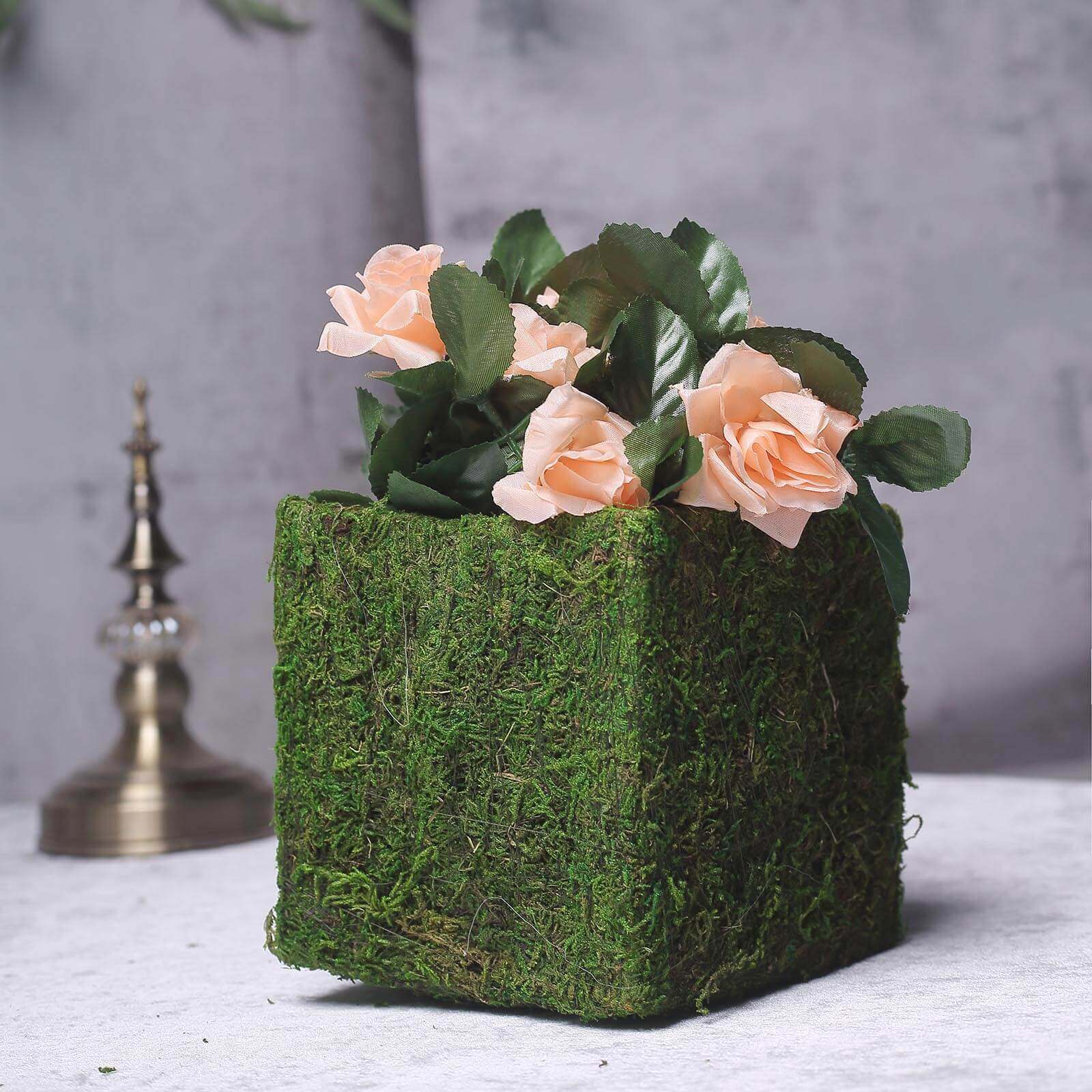 4-Pack Square Planter Boxes Covered with Inner Lining Green Preserved Moss - Flower Basket Centerpieces 6