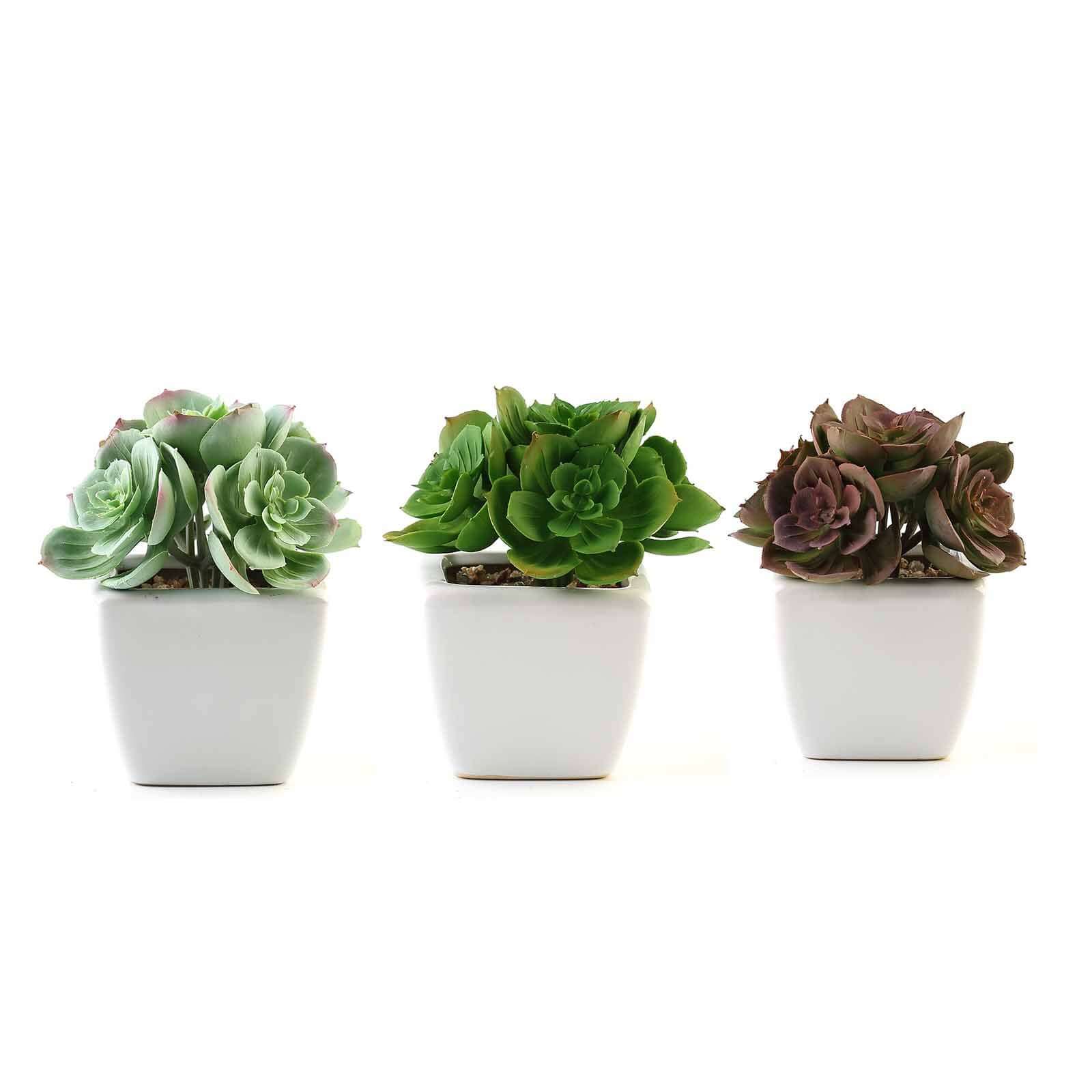 3-Pack Echeveria Elegans Artificial Succulents in Ceramic Pot - Lifelike Decorative Faux Plants for Home Office & Event Design 5