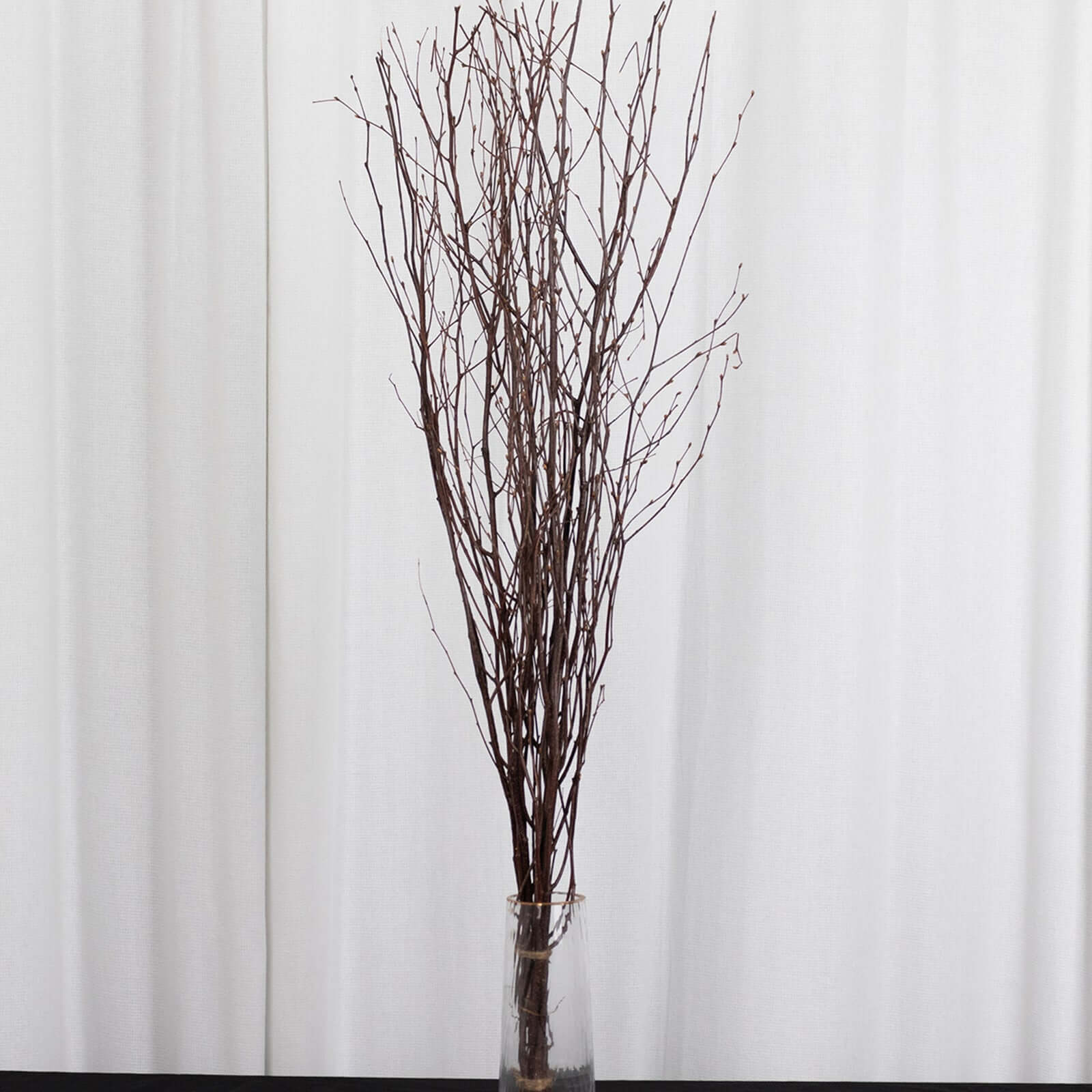 6-Pack Natural Birch Tree Branches 46 Natural - Versatile Extra Long Decorative Dried Willow Twigs Sticks for Vase Centerpiece Wedding Decor