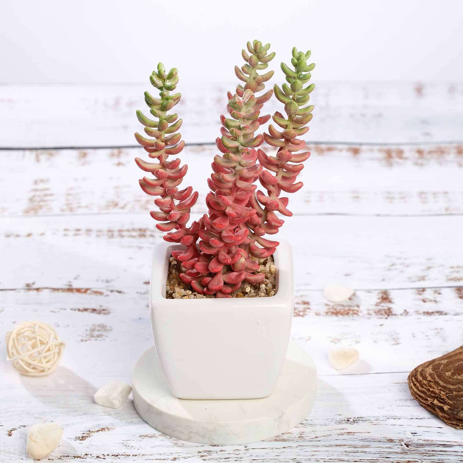 3-Pack Sedum Artificial Succulents in Ceramic Pot - Lifelike Decorative Faux Plants for Home Office & Event Design 8