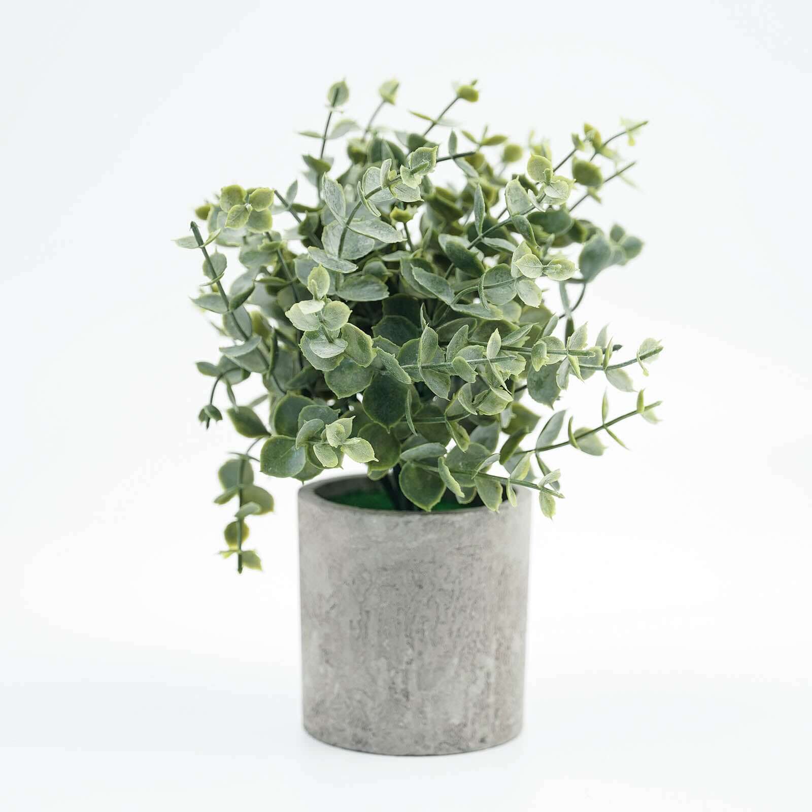 3 Plant Set Mini Potted Artificial Eucalyptus, Rosemary and Boxwood Faux Planter Collection - Small Decorative Faux Herb Garden for Desk Countertops Table Shelf Display 9