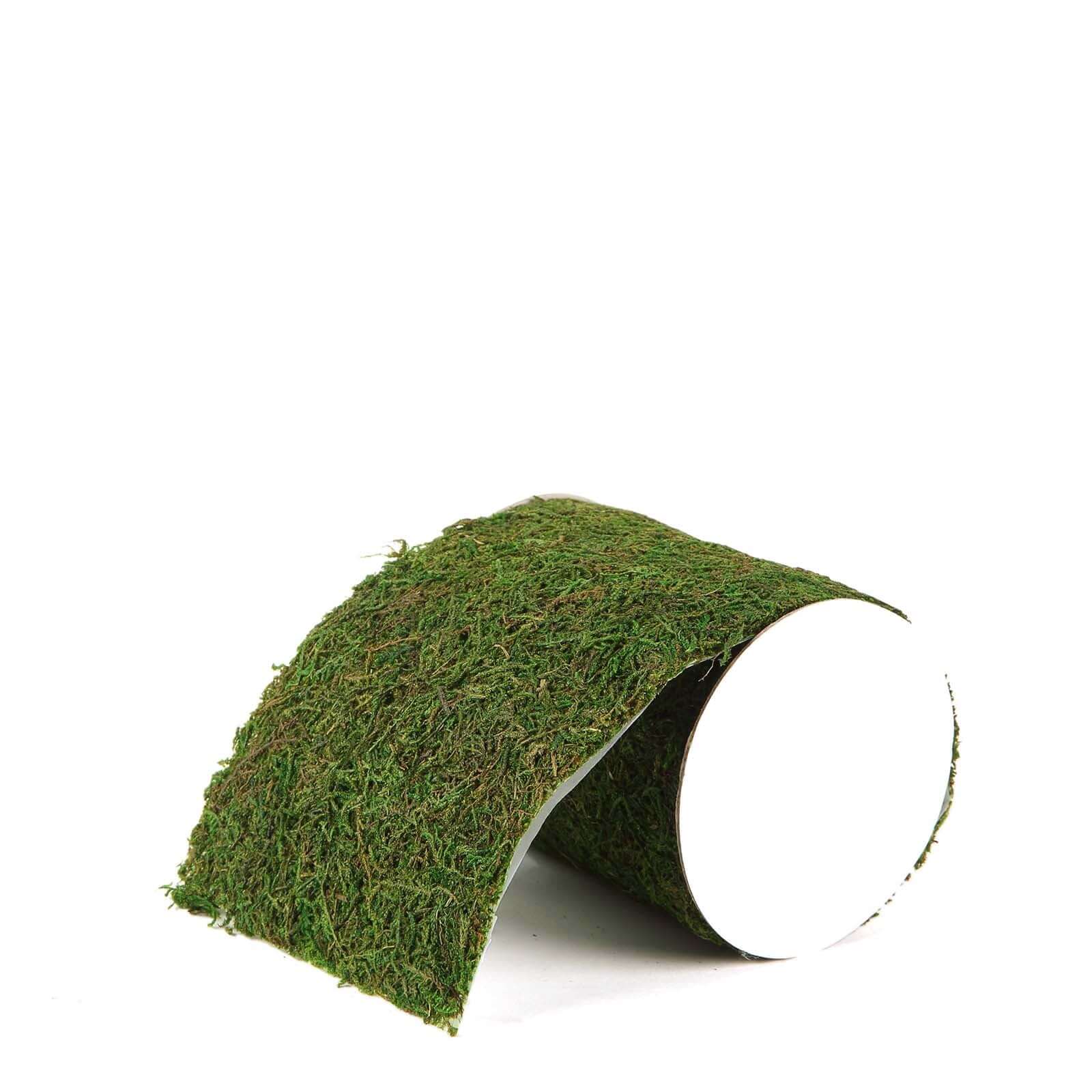 4ft 5 Wide Green Preserved Moss Ribbon Roll, DIY Craft Ribbon