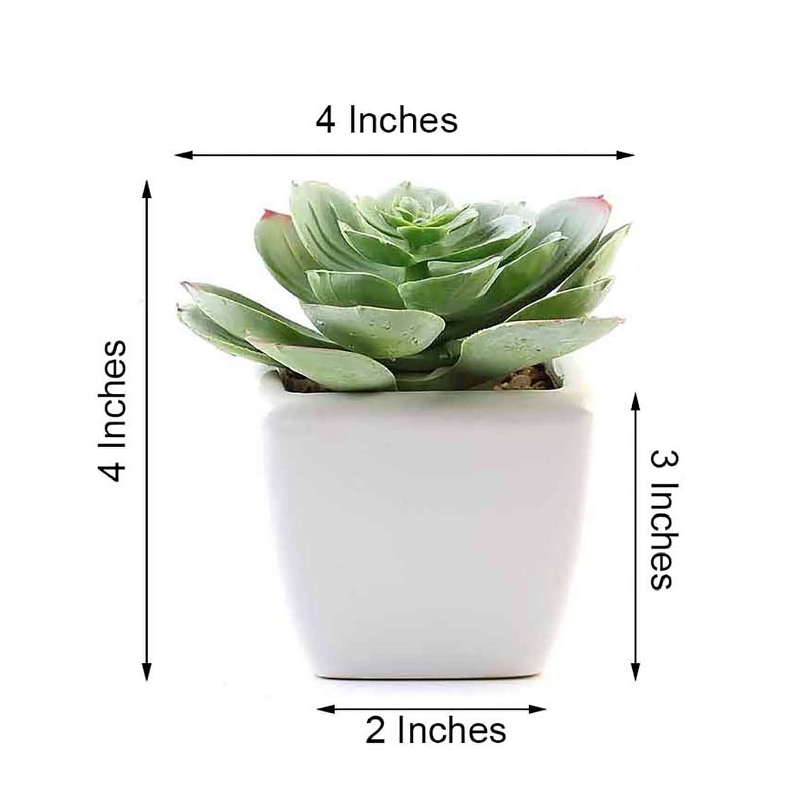 3-Pack Echeveria Artificial Succulents in Ceramic Pot - Lifelike Decorative Faux Plants for Home Office & Event Design 4