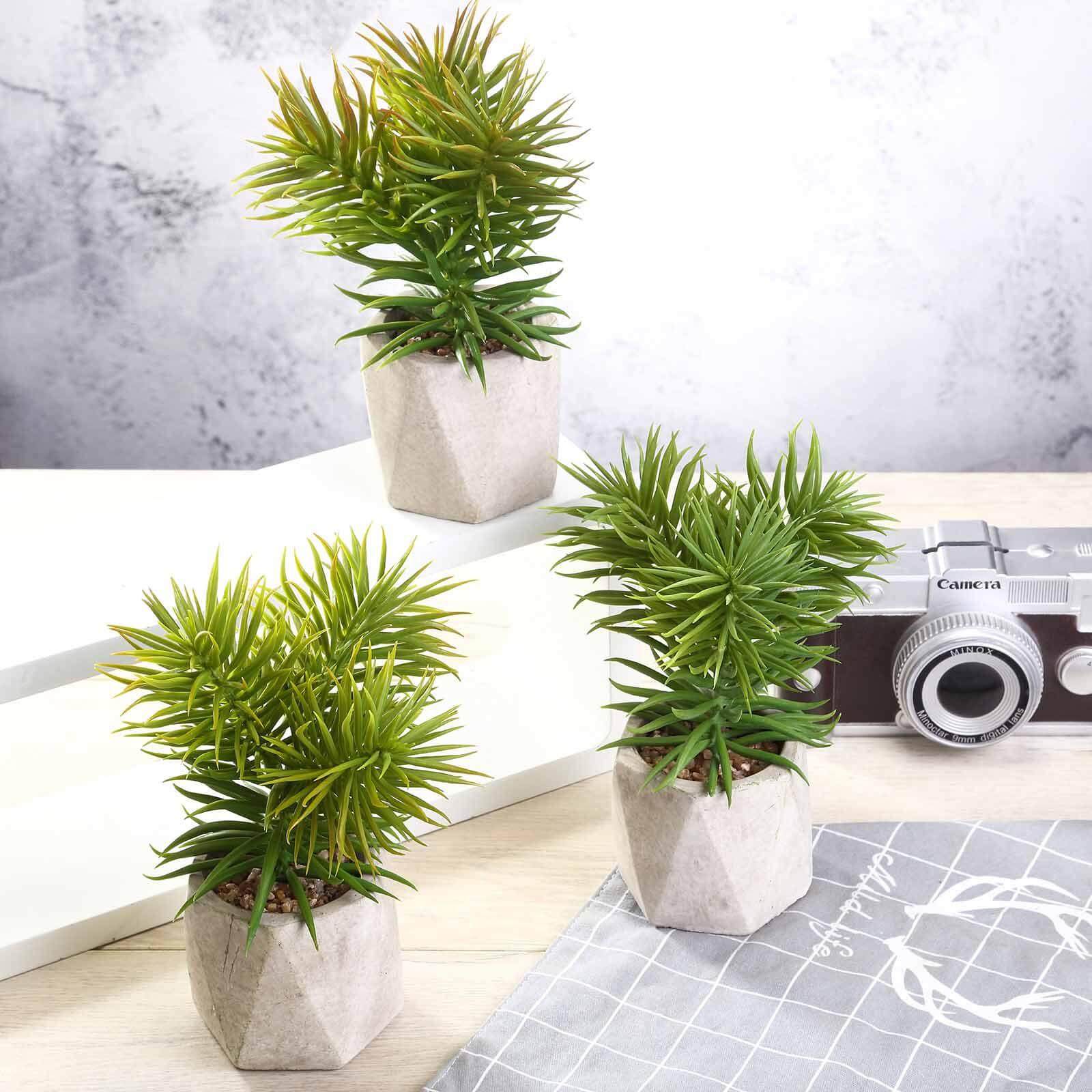 3-Pack Crassula Artificial Succulents in Geometric Ceramic Pot - Lifelike Decorative Faux Plants for Home Office & Event Design 8