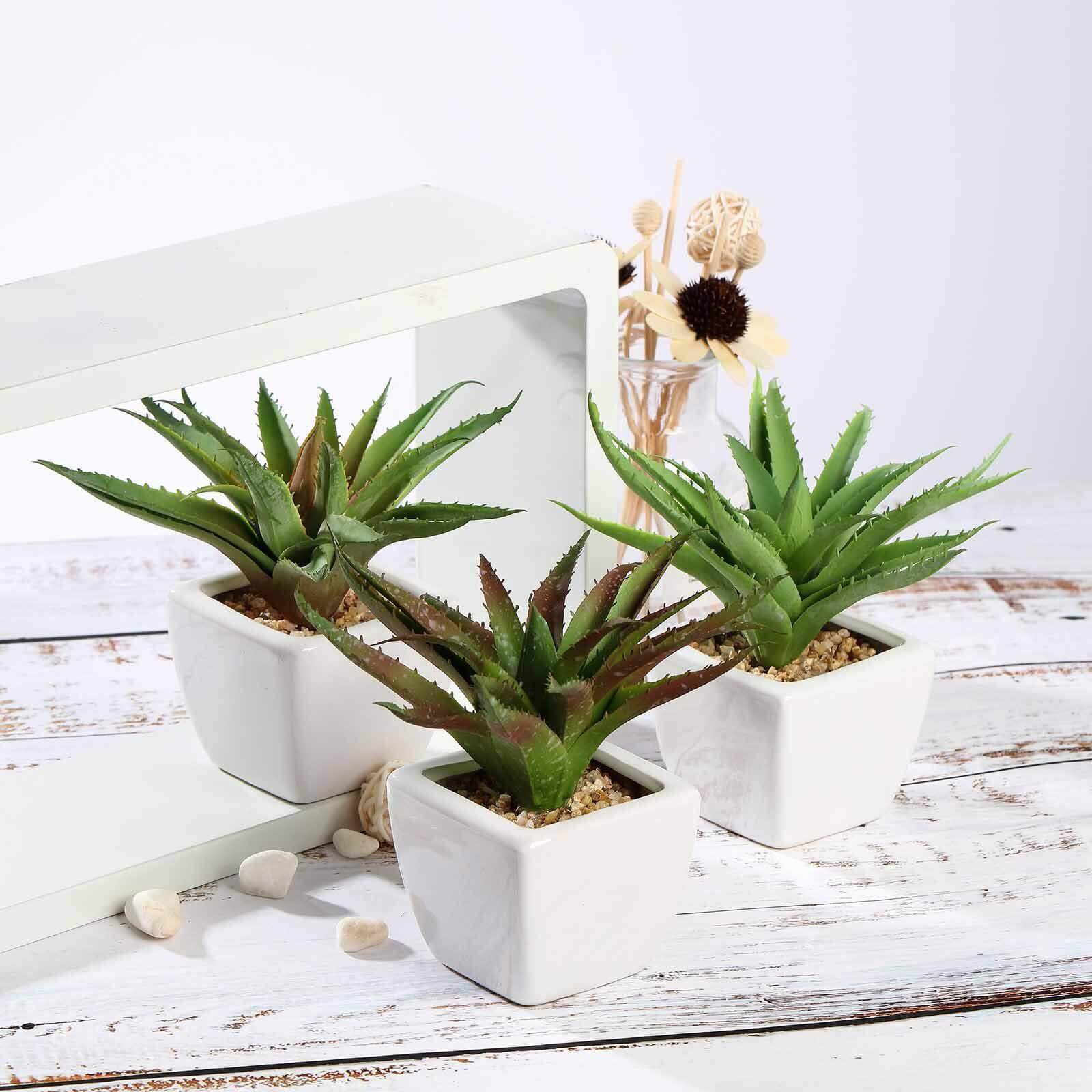 3-Pack Spotted Aloe Vera Artificial Succulents in Ceramic Pot - Lifelike Decorative Faux Plants for Home Office & Event Design 5