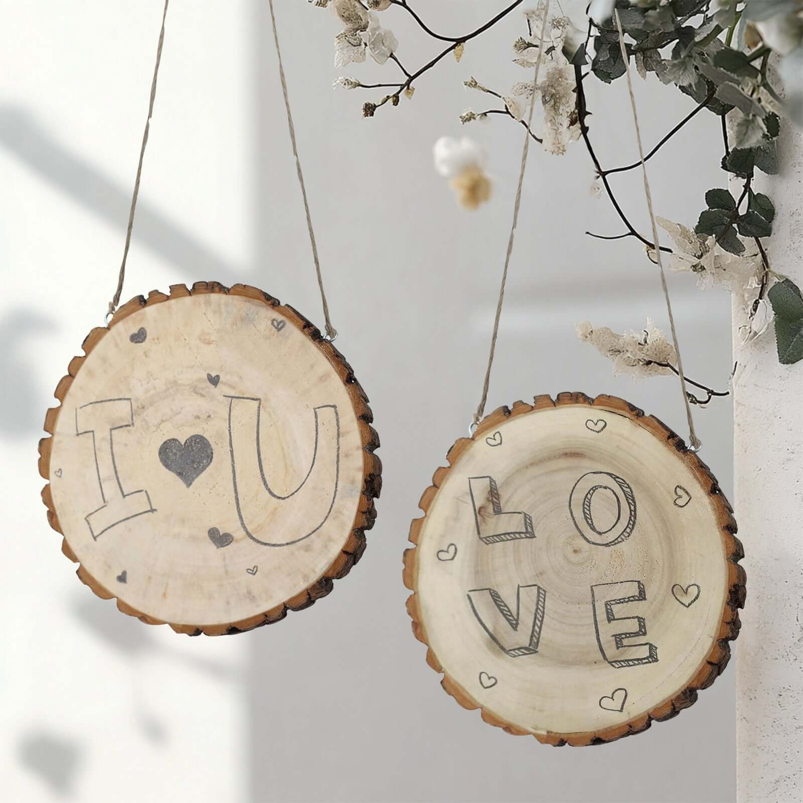 2 Pack 8 Dia Natural Blank Hanging DIY Wood Sign, Round Wood Plaques