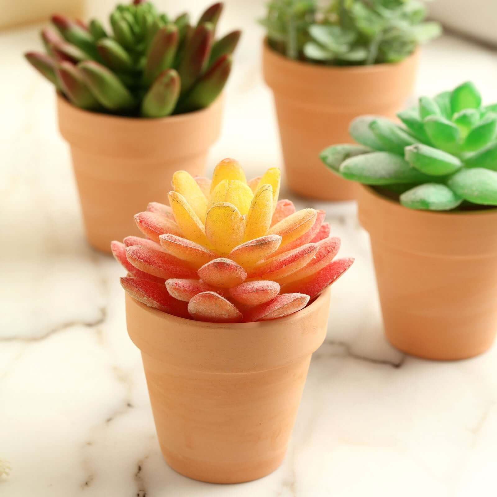 24-Pack Favor Buckets Mini Terracotta Pots Rust Design - Ceramic Clay Planters for Succulents and Cactus 2.5