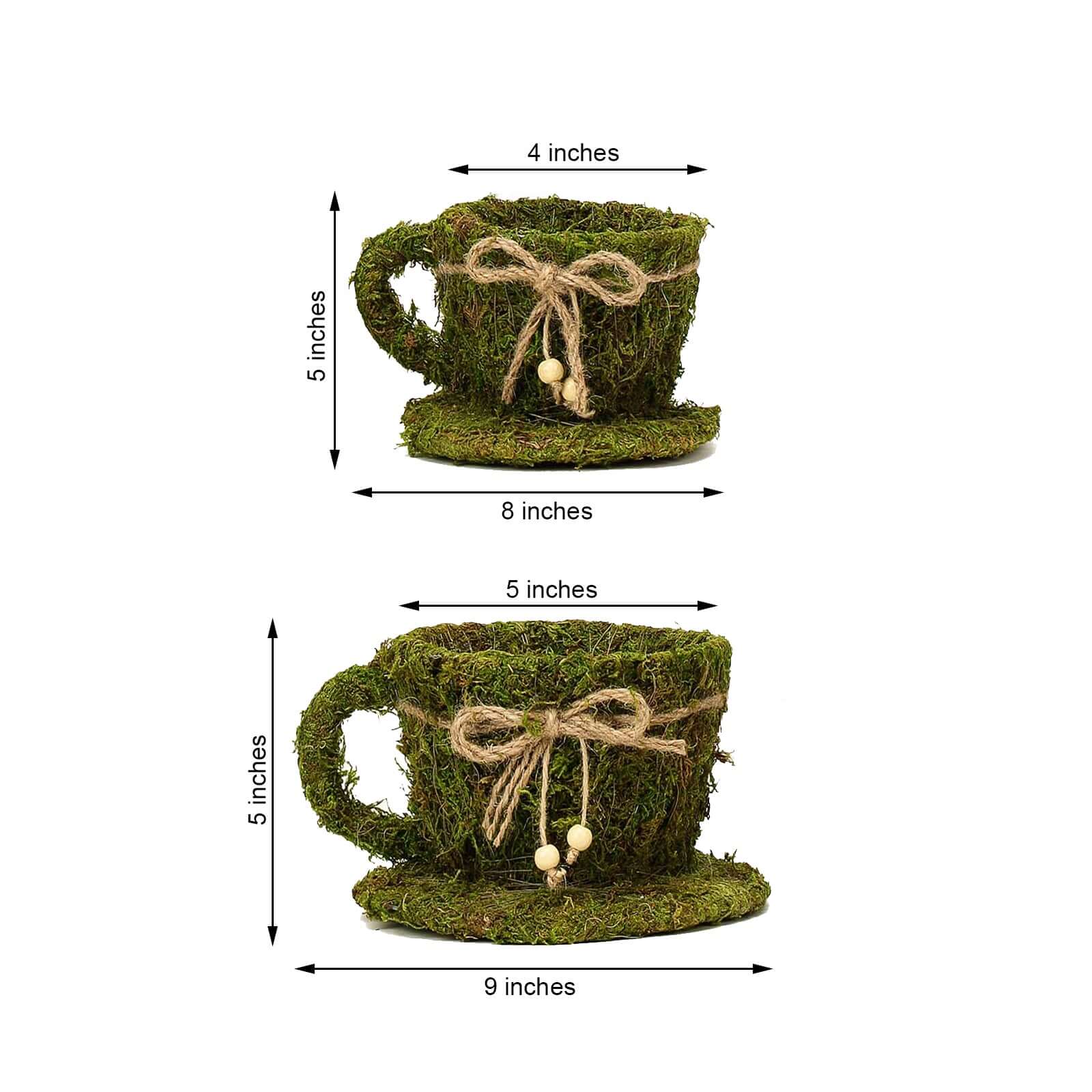 Set of 2 Teacup Shaped Planter Boxes Preserved Moss with Twine Green - Flower Basket Centerpieces 5, 4