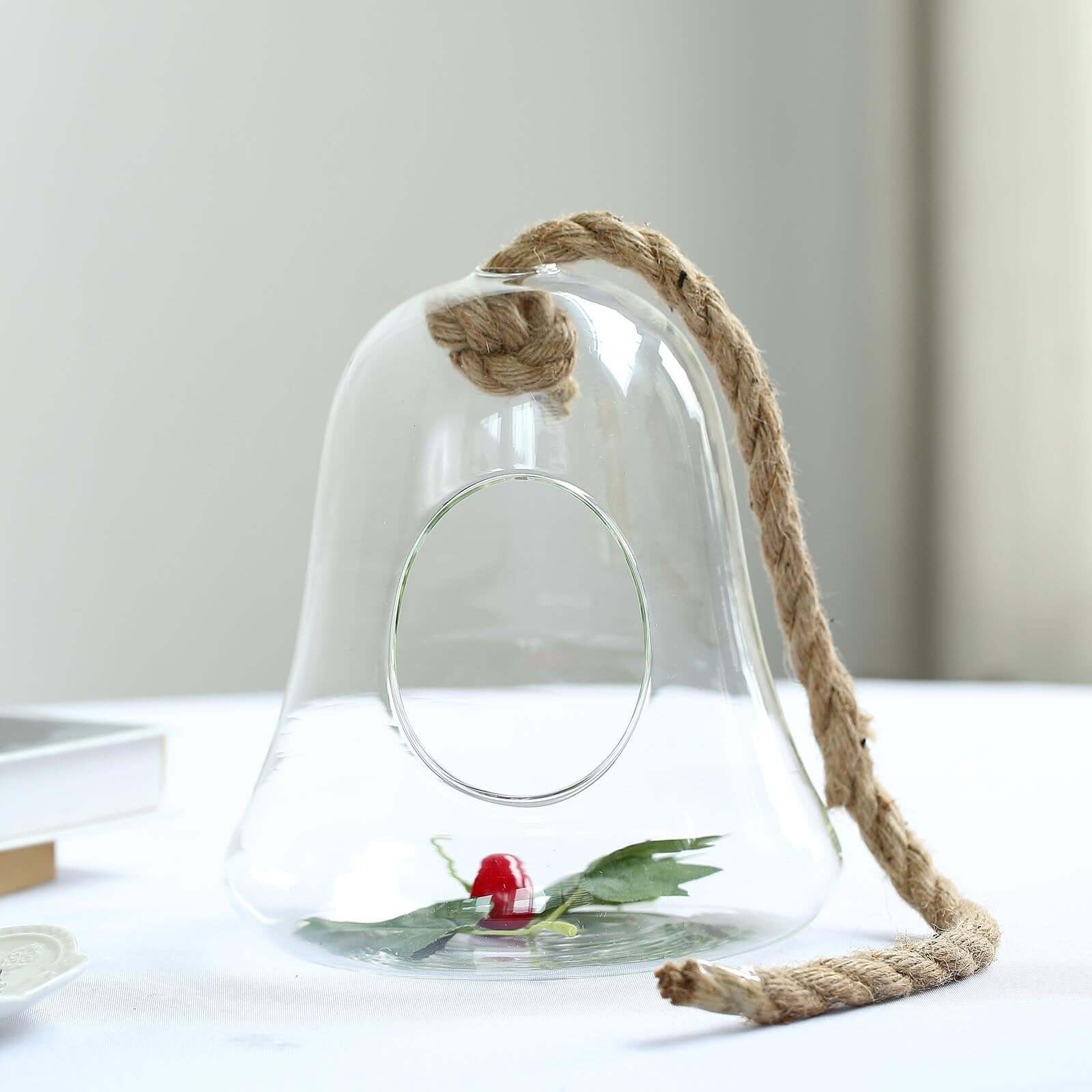 Glass Terrarium Hanging Bell Shaped Design with Twine Rope - Unique Free-Falling Planter for Air Plants & Displays 9