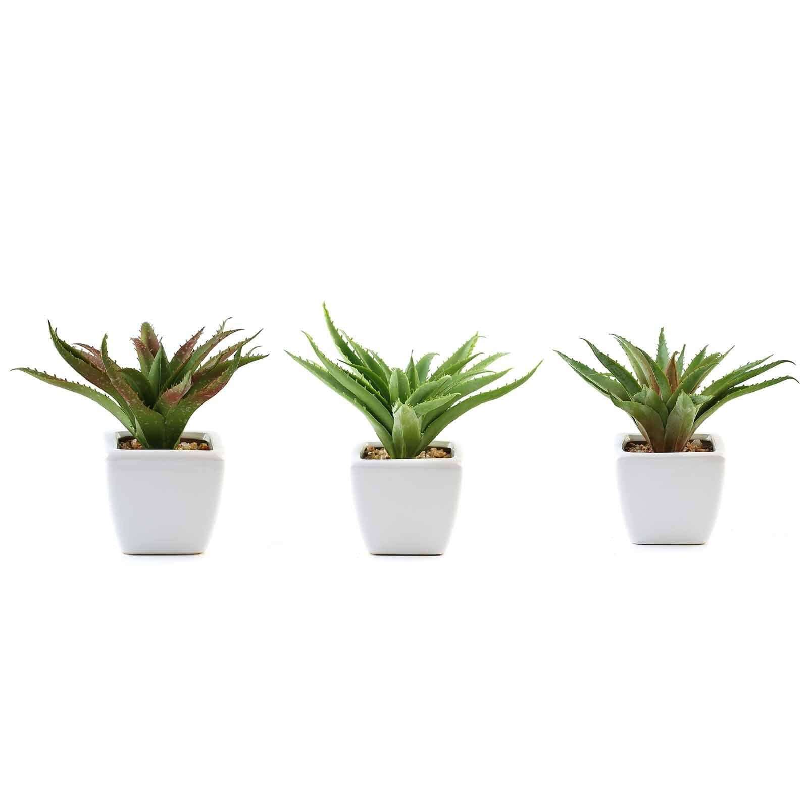 3-Pack Spotted Aloe Vera Artificial Succulents in Ceramic Pot - Lifelike Decorative Faux Plants for Home Office & Event Design 5