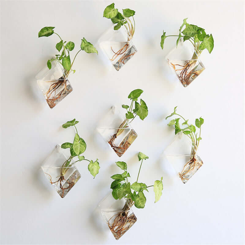 3-Pack Glass Wall Vase Hanging Rhombus Design Indoor Planters - Modern Wall Mounted Terrariums for Living Spaces