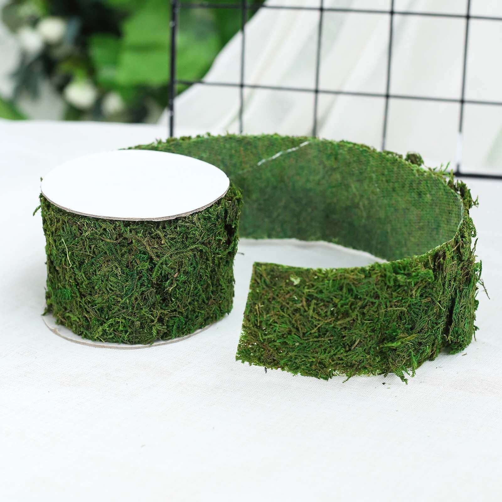 4ft 2 Wide Green Preserved Moss Ribbon Roll, DIY Craft Ribbon