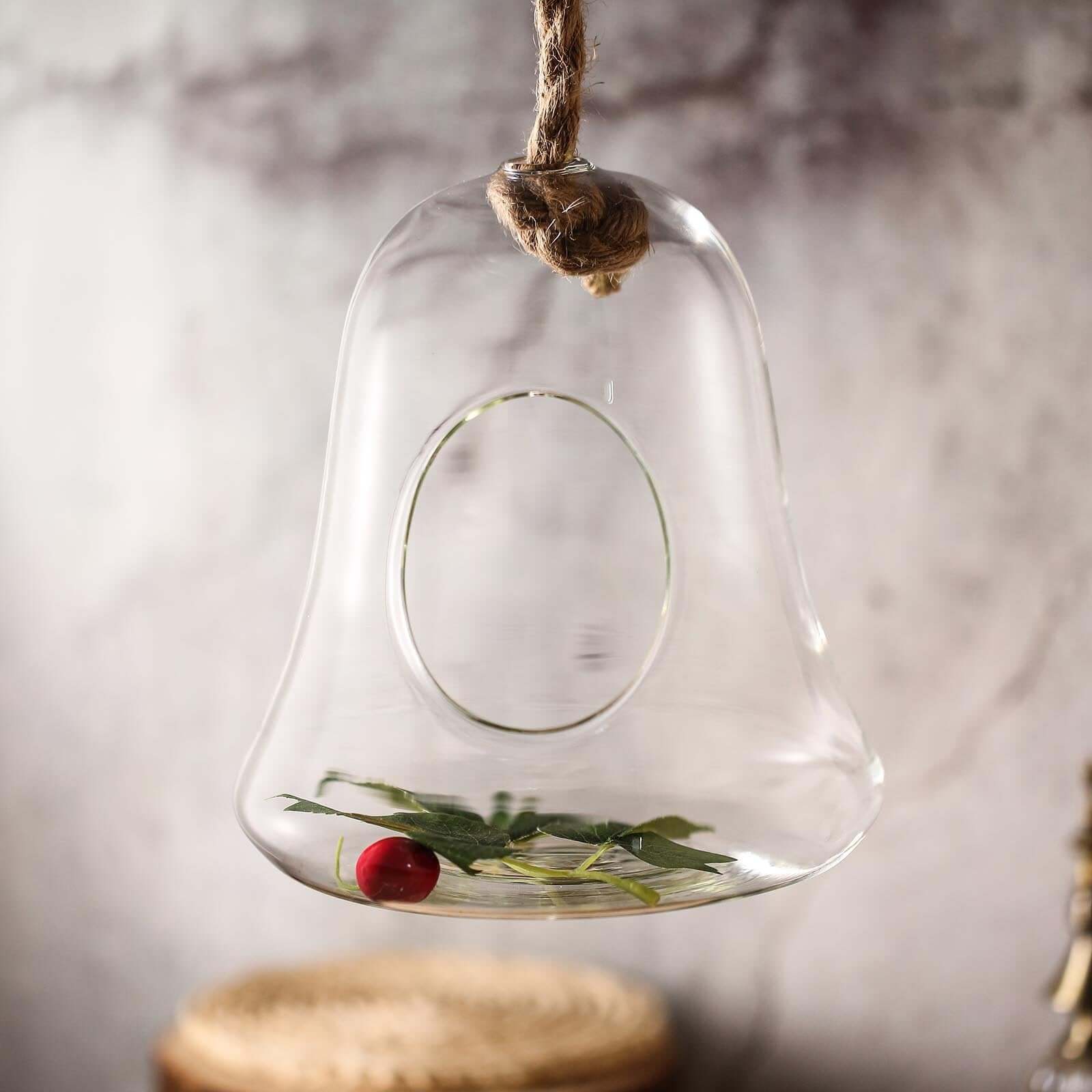 Glass Terrarium Hanging Bell Shaped Design with Twine Rope - Unique Free-Falling Planter for Air Plants & Displays 9