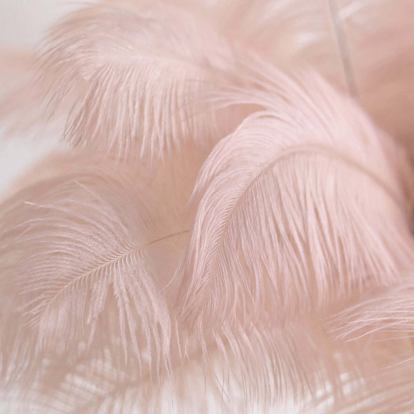 12 Pack 13-15 Rose Gold Natural Plume Real Ostrich Feathers, DIY Centerpiece Fillers