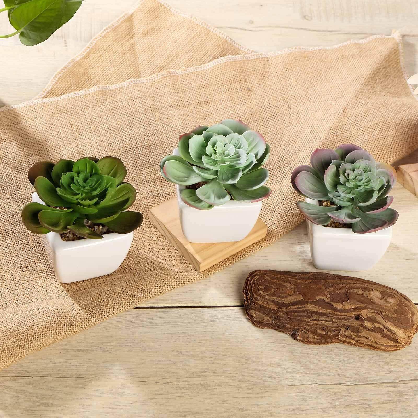 3-Pack Echeveria Artificial Succulents in Ceramic Pot - Lifelike Decorative Faux Plants for Home Office & Event Design 4