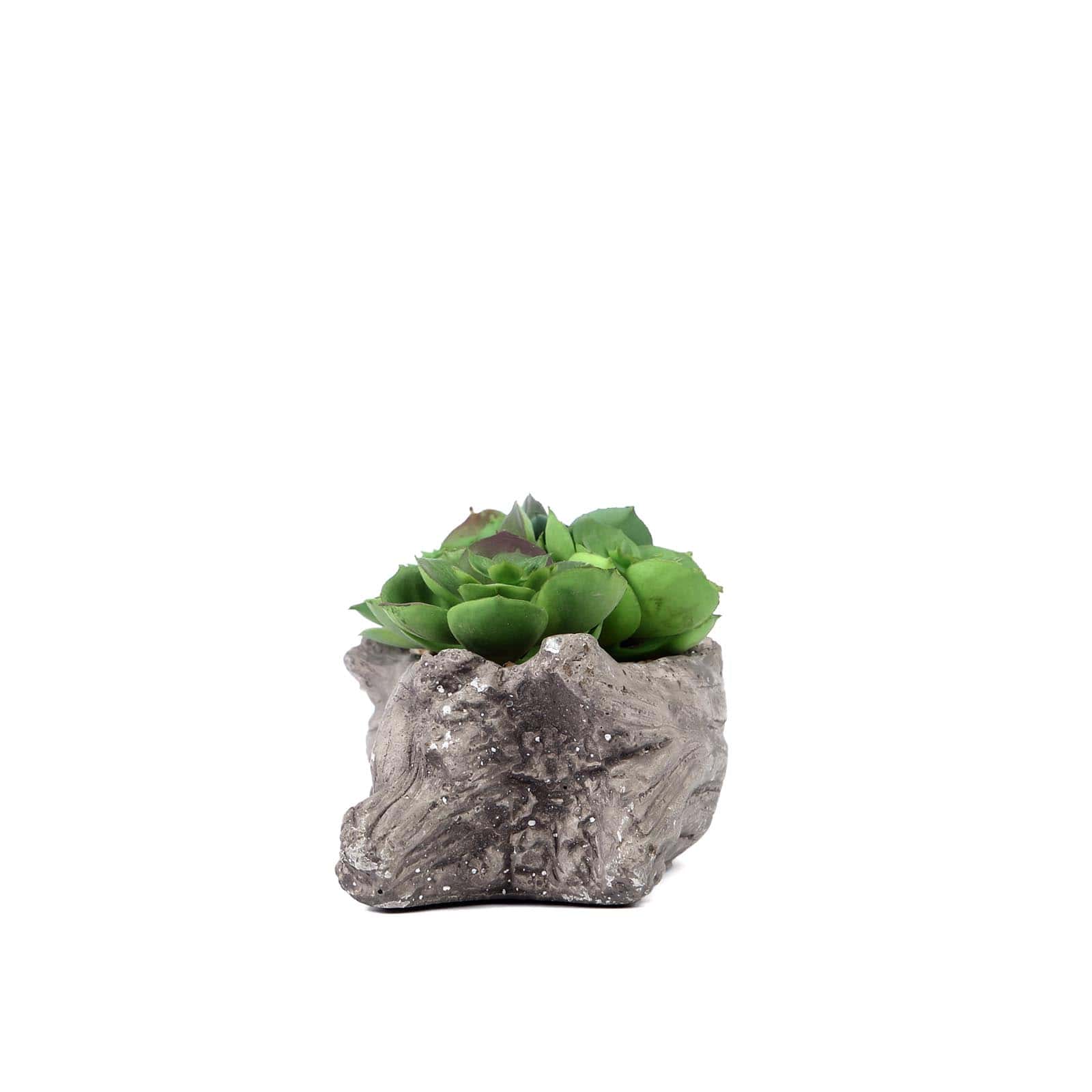 Perle Von Nurnberg Artificial Succulents Arrangements in 7 Log Planter - Lifelike Faux Plant for Stylish Home Bathroom Tabletop Indoor Outdoor Greenery Decor