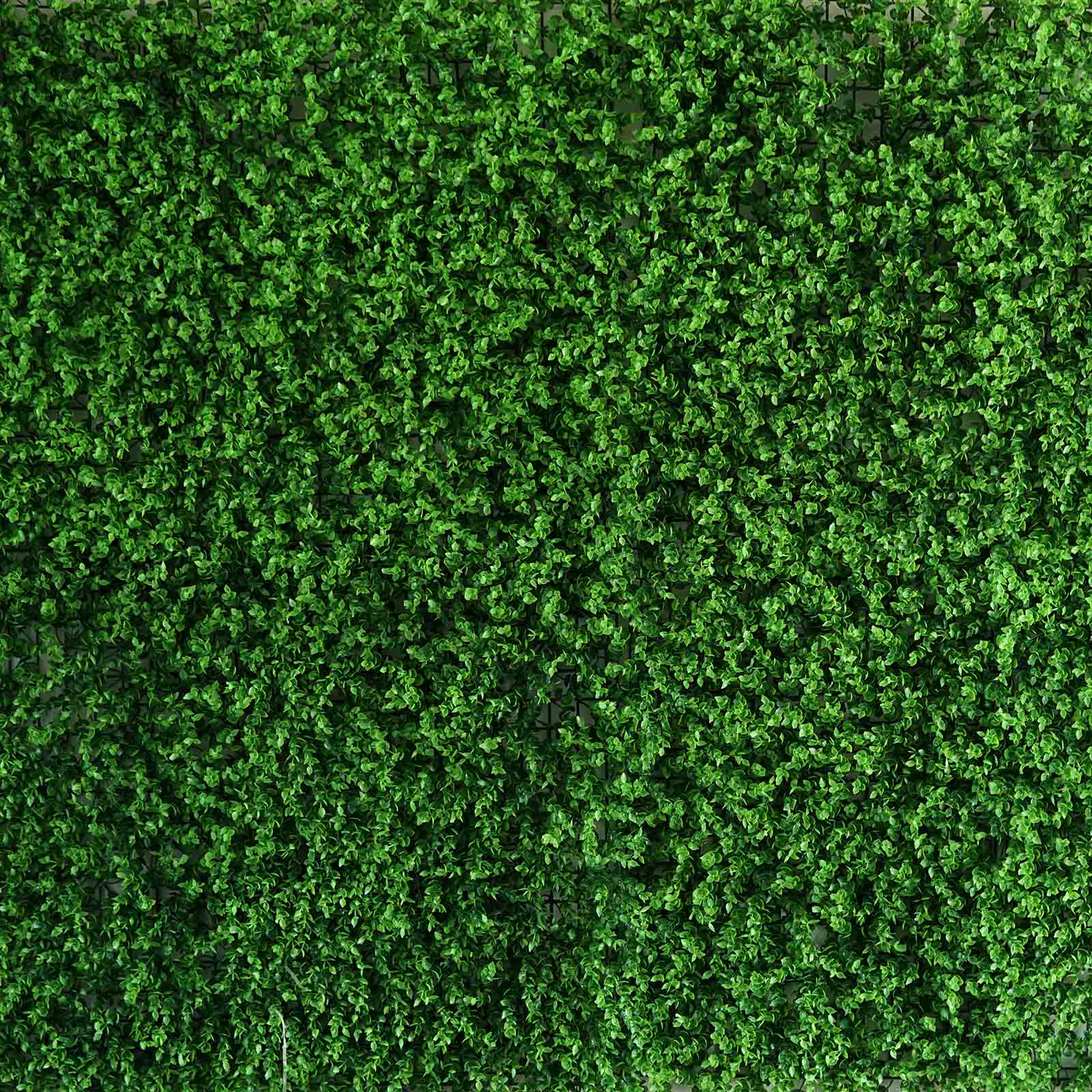 11 Sq ft. Artificial Baby Green Boxwood Hedge Garden Wall Backdrop Mat - 4 Panels