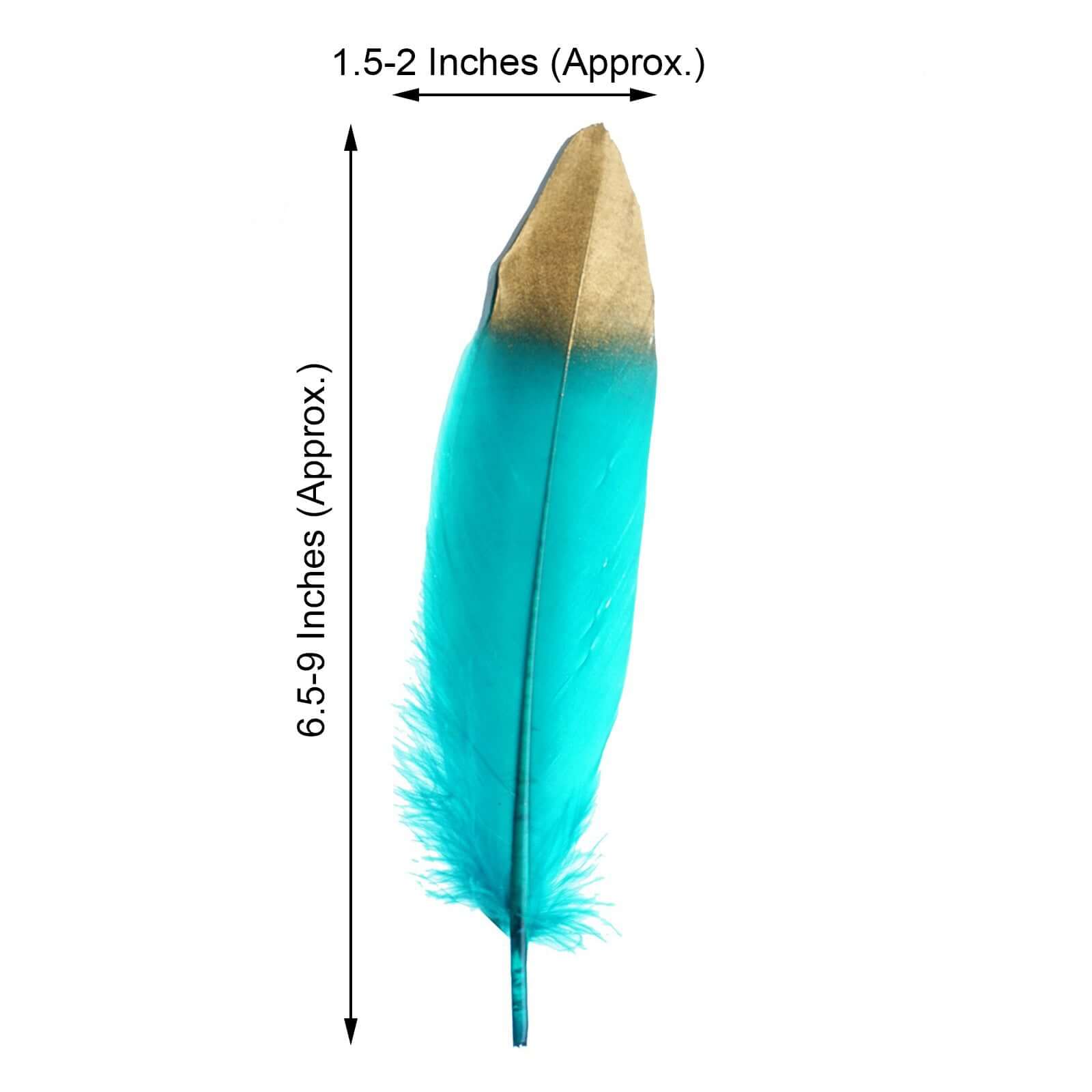 30 Pack Metallic Gold Dipped Turquoise Real Goose Feathers, Craft Feathers For Party Decoration