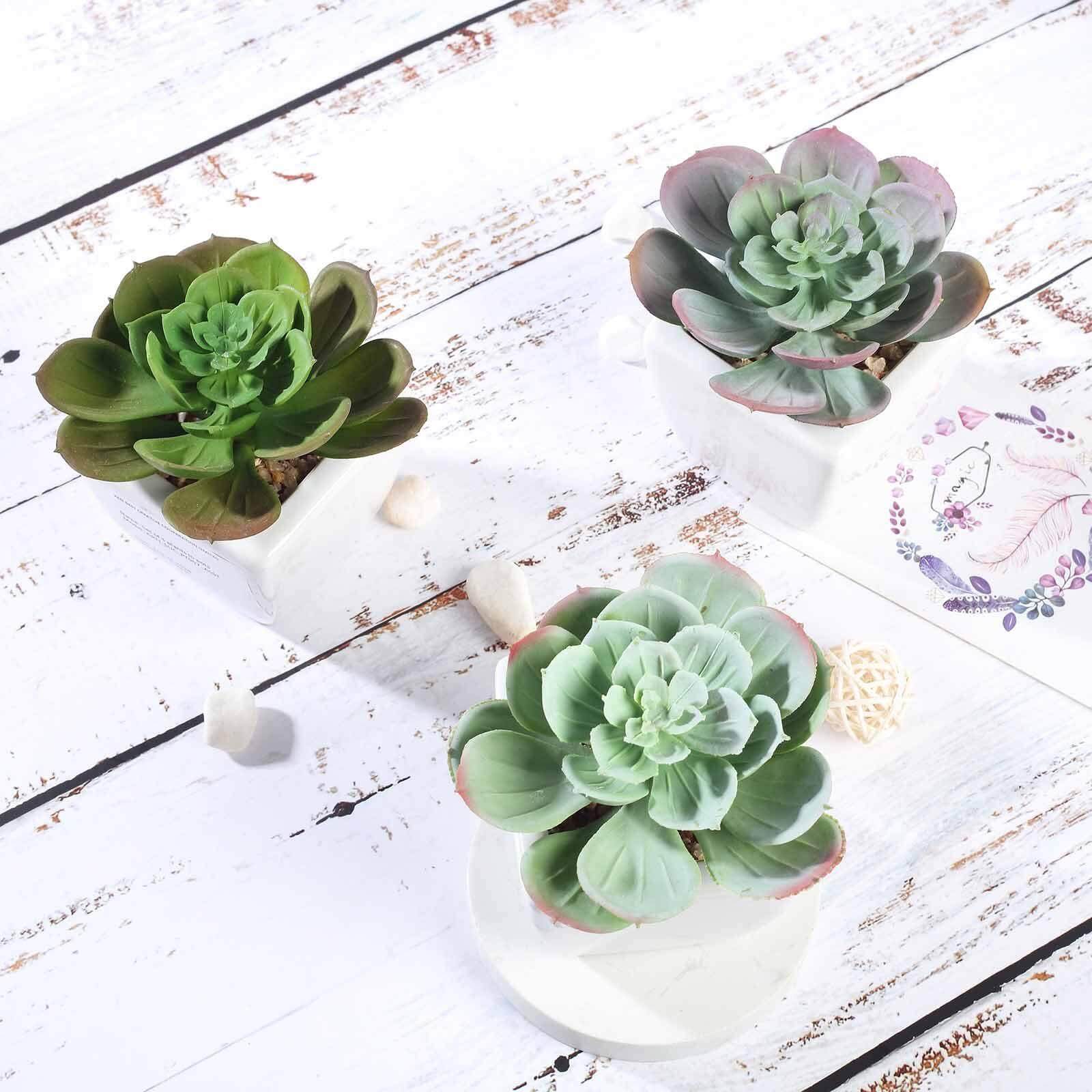 3-Pack Echeveria Artificial Succulents in Ceramic Pot - Lifelike Decorative Faux Plants for Home Office & Event Design 4