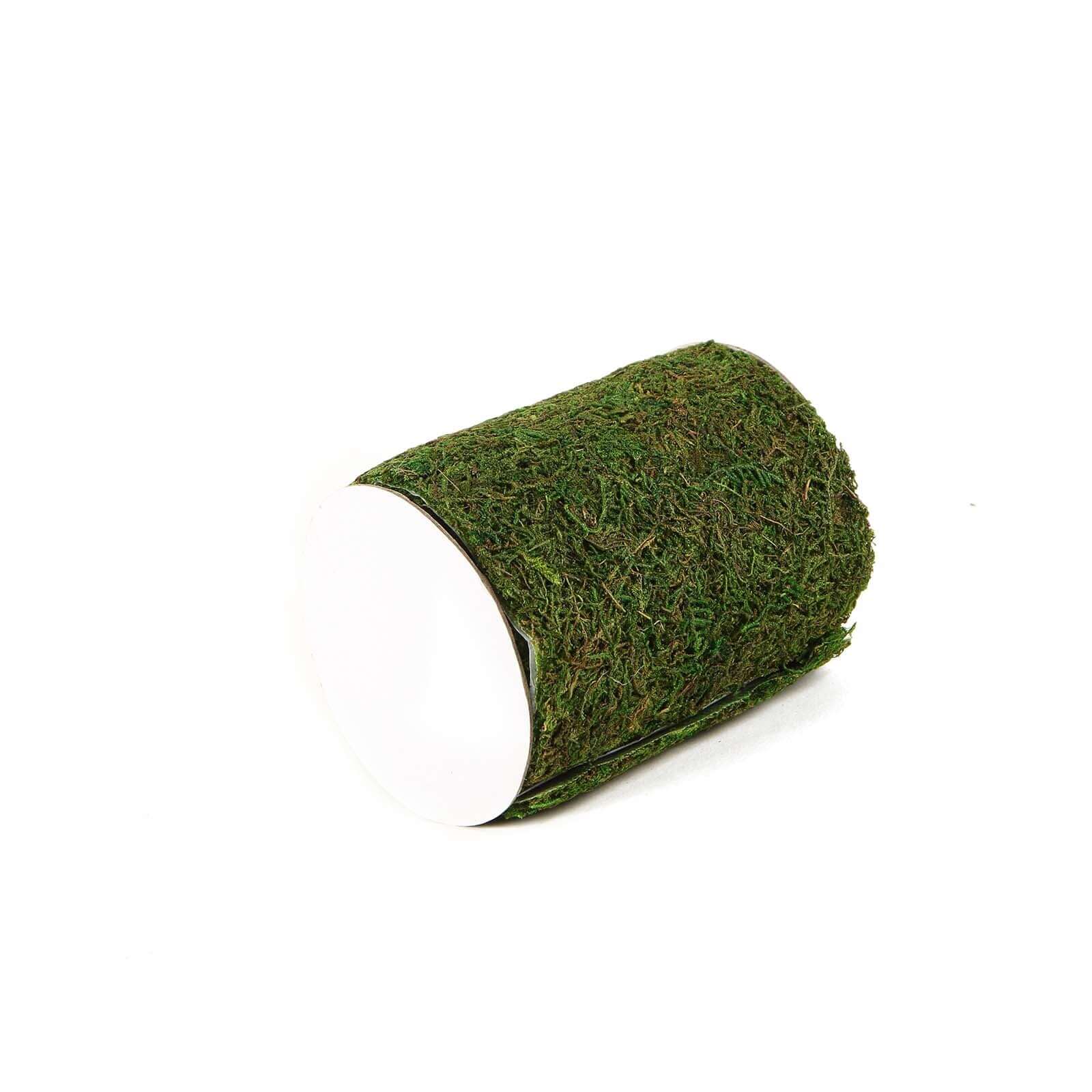 4ft 5 Wide Green Preserved Moss Ribbon Roll, DIY Craft Ribbon