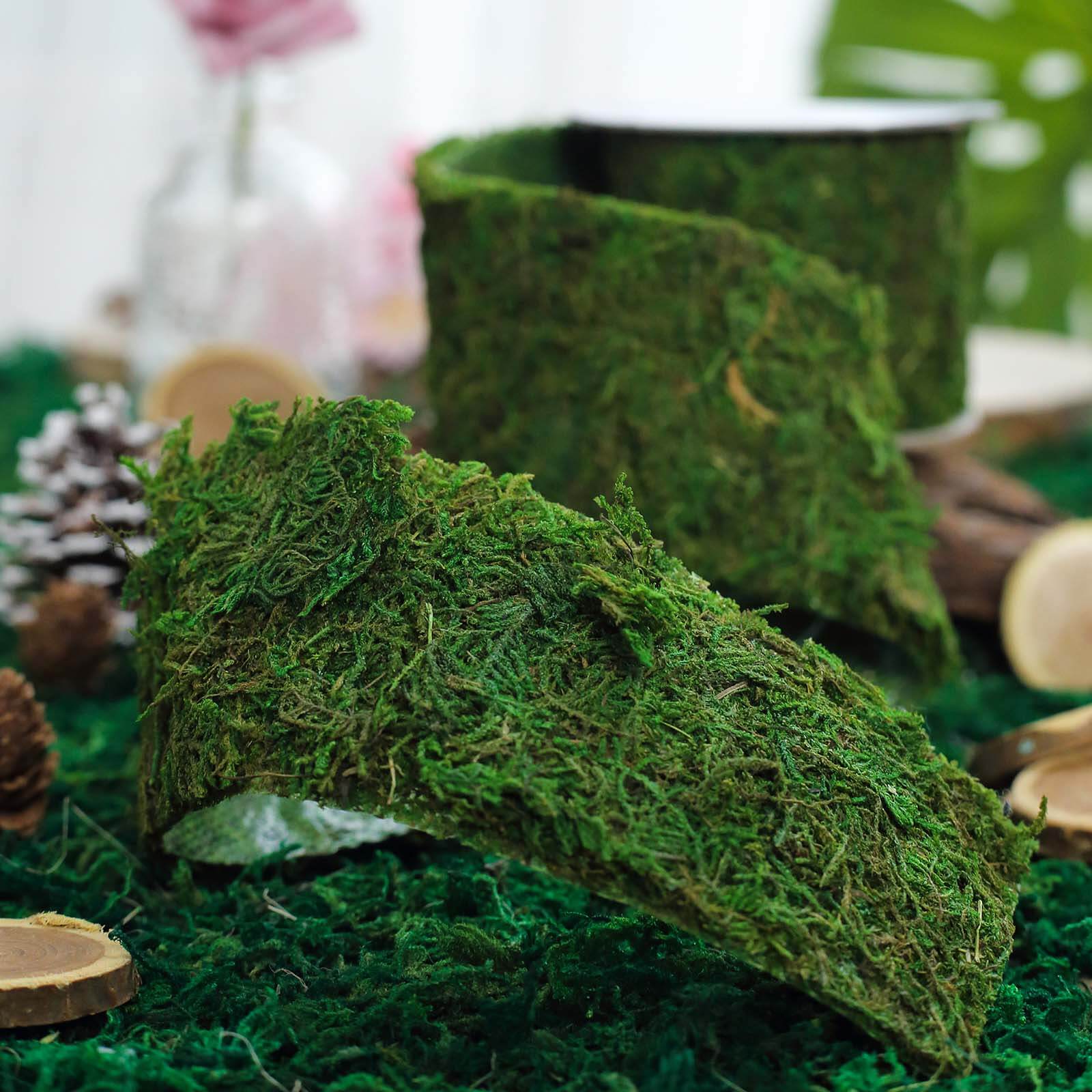 4ft 2 Wide Green Preserved Moss Ribbon Roll, DIY Craft Ribbon