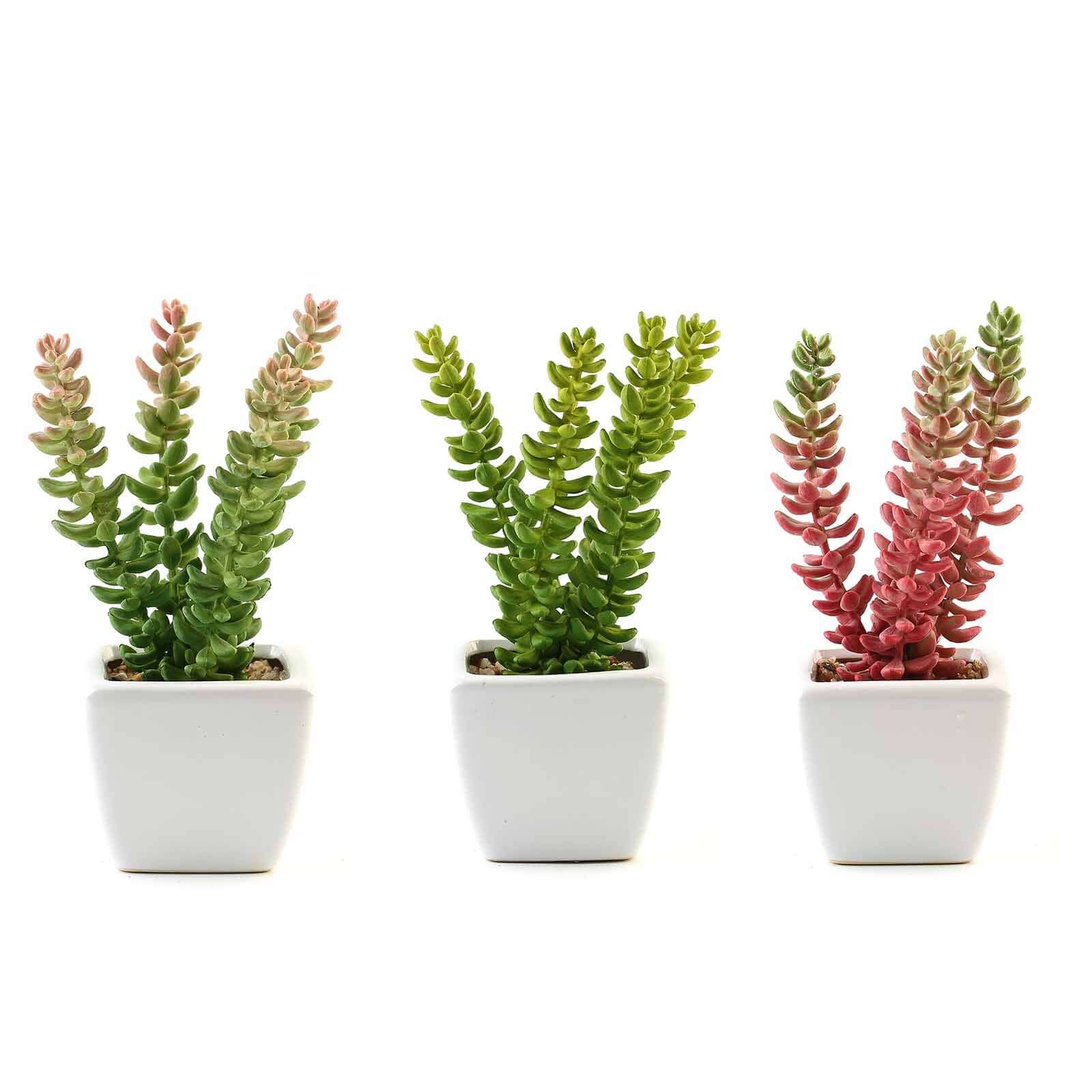 3-Pack Sedum Artificial Succulents in Ceramic Pot - Lifelike Decorative Faux Plants for Home Office & Event Design 8