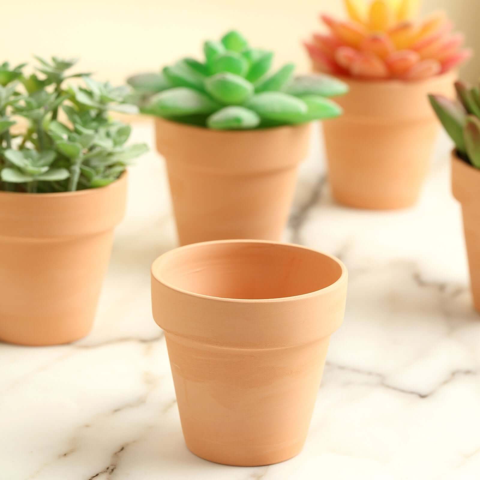 24-Pack Favor Buckets Mini Terracotta Pots Rust Design - Ceramic Clay Planters for Succulents and Cactus 2.5