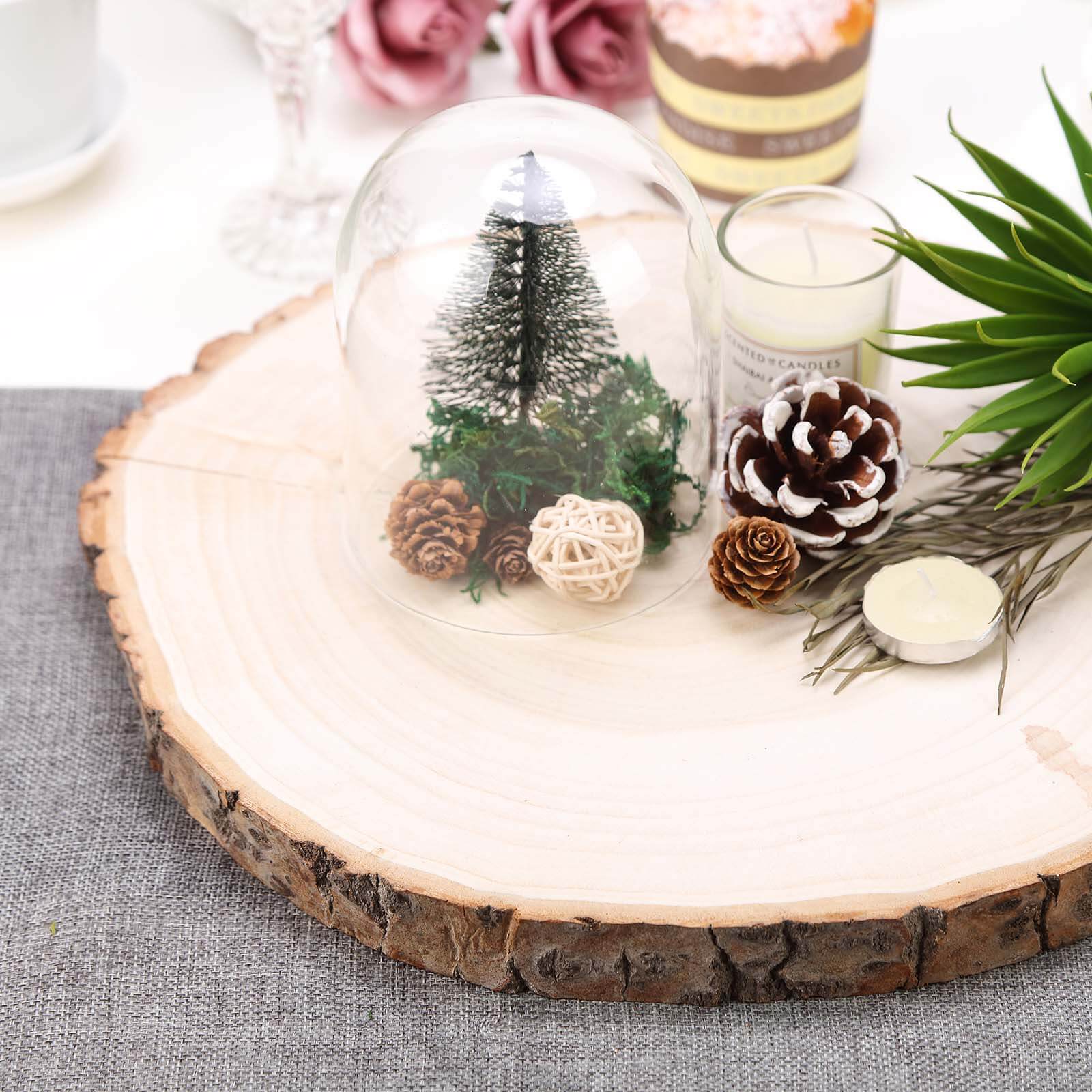 Rustic Poplar Wood Slices Round - Unique Decor for Tables & Events 15 Dia