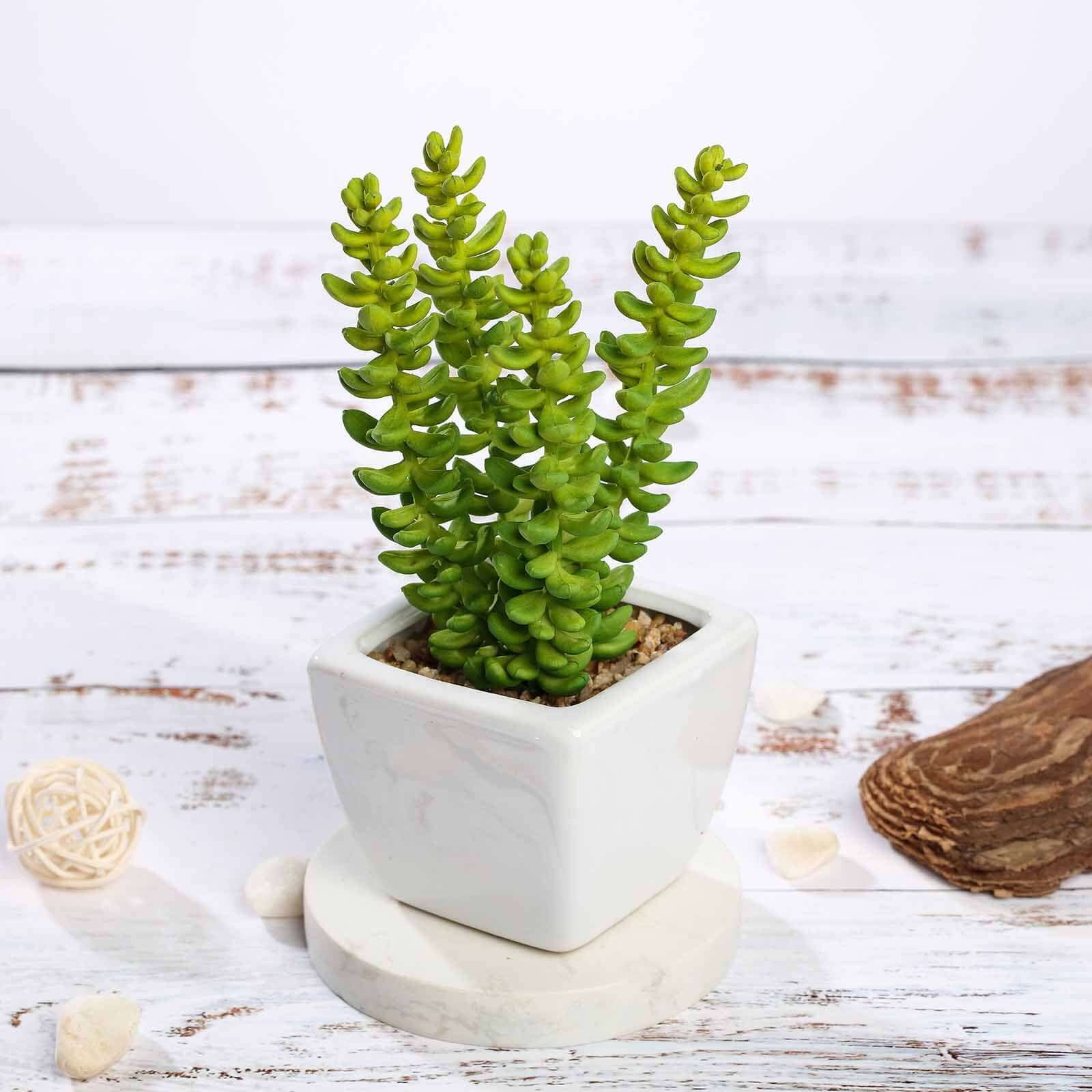 3-Pack Sedum Artificial Succulents in Ceramic Pot - Lifelike Decorative Faux Plants for Home Office & Event Design 8