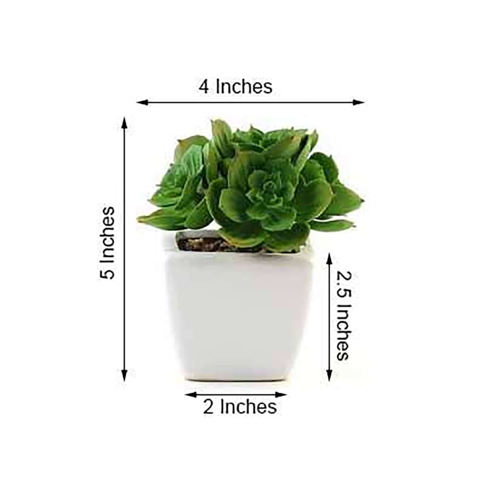 3-Pack Echeveria Elegans Artificial Succulents in Ceramic Pot - Lifelike Decorative Faux Plants for Home Office & Event Design 5