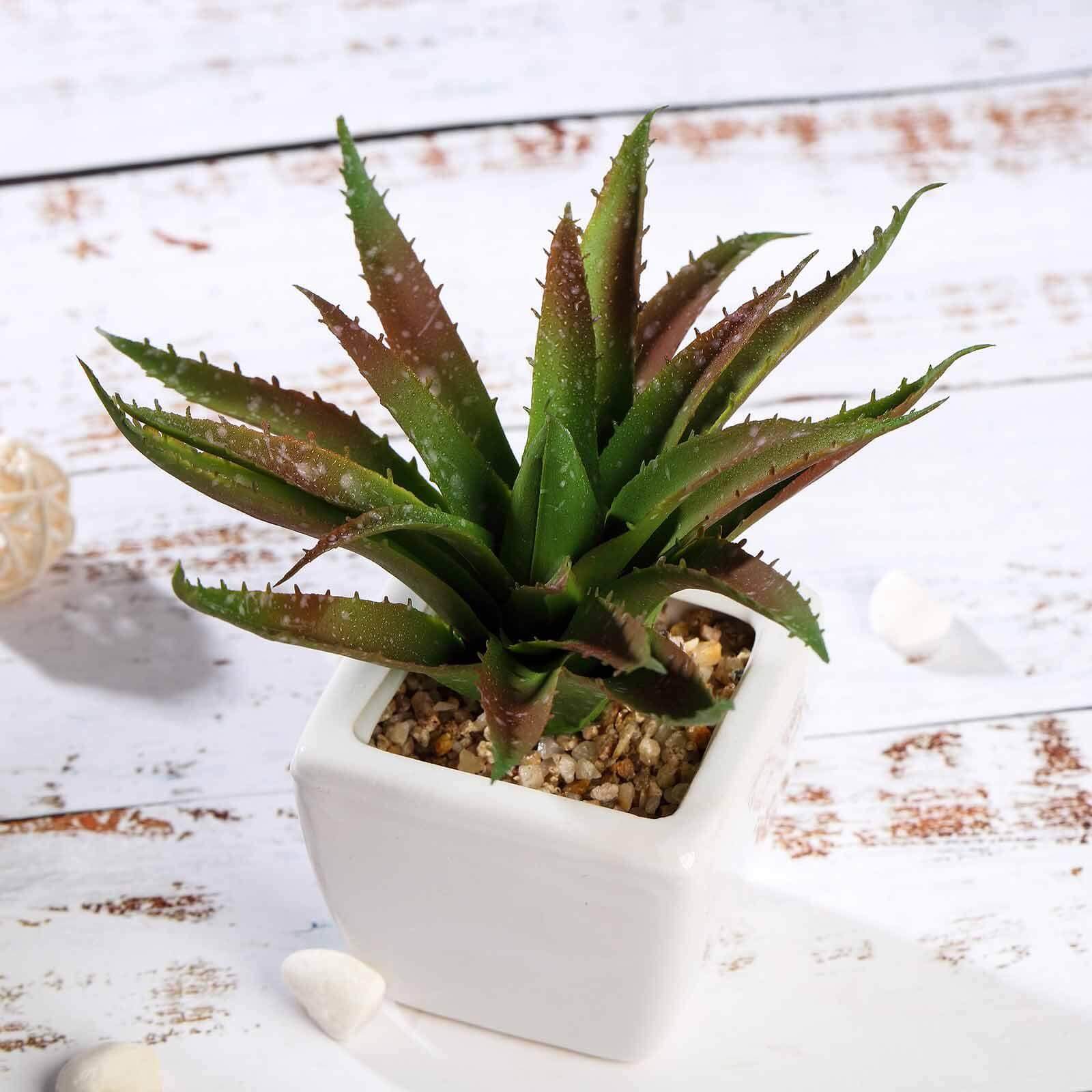 3-Pack Spotted Aloe Vera Artificial Succulents in Ceramic Pot - Lifelike Decorative Faux Plants for Home Office & Event Design 5