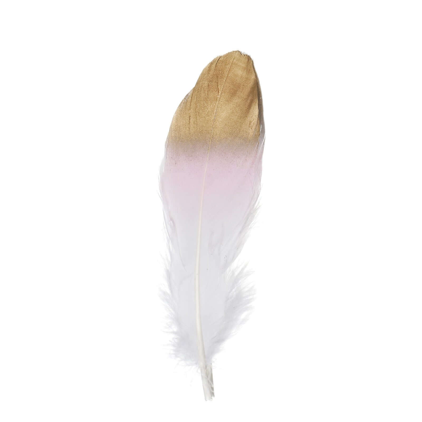 30-Pack Goose Feathers Craft Feathers Metallic Gold Tip Dual Tone Blush White - Decorative Feathers for DIY Projects