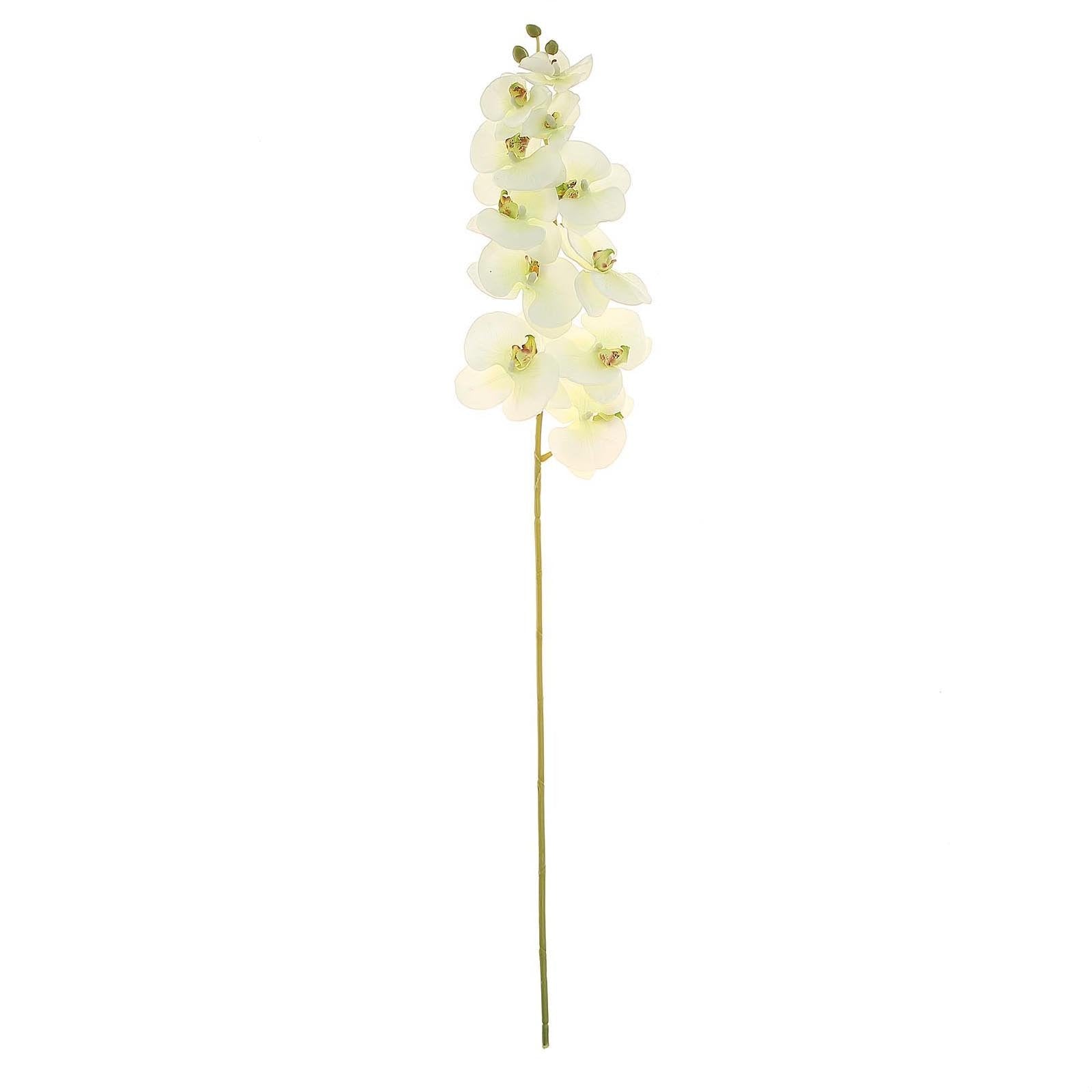 2 Stems 40 Tall Cream Artificial Silk Orchid Flower Bouquets