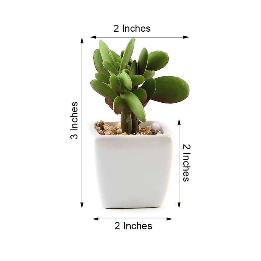 3-Pack Mini Jade Artificial Succulents in Ceramic Pots - Lifelike Decorative Faux Plants for Home Office & Event Design 3