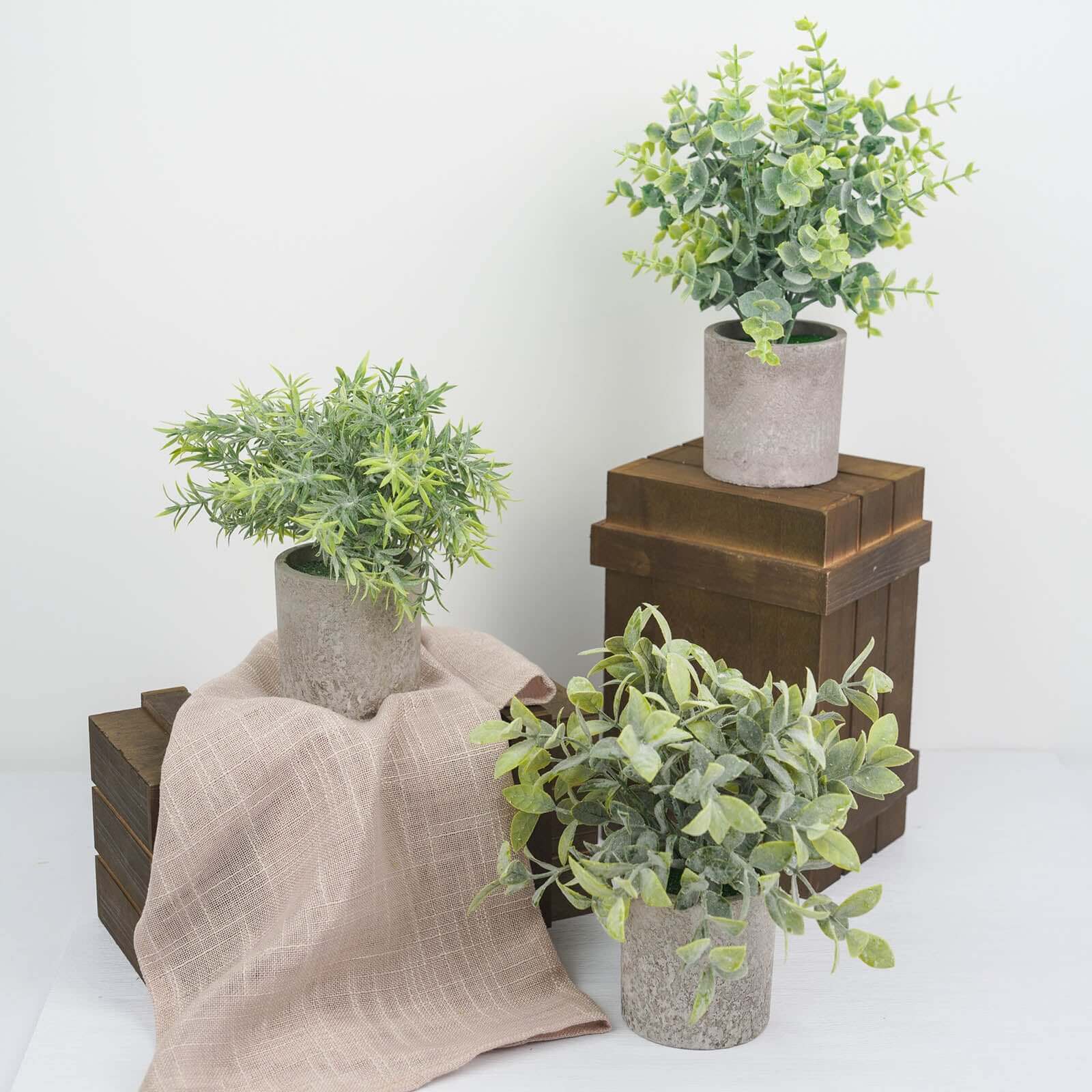 3 Plant Set Mini Potted Artificial Eucalyptus, Rosemary and Boxwood Faux Planter Collection - Small Decorative Faux Herb Garden for Desk Countertops Table Shelf Display 9