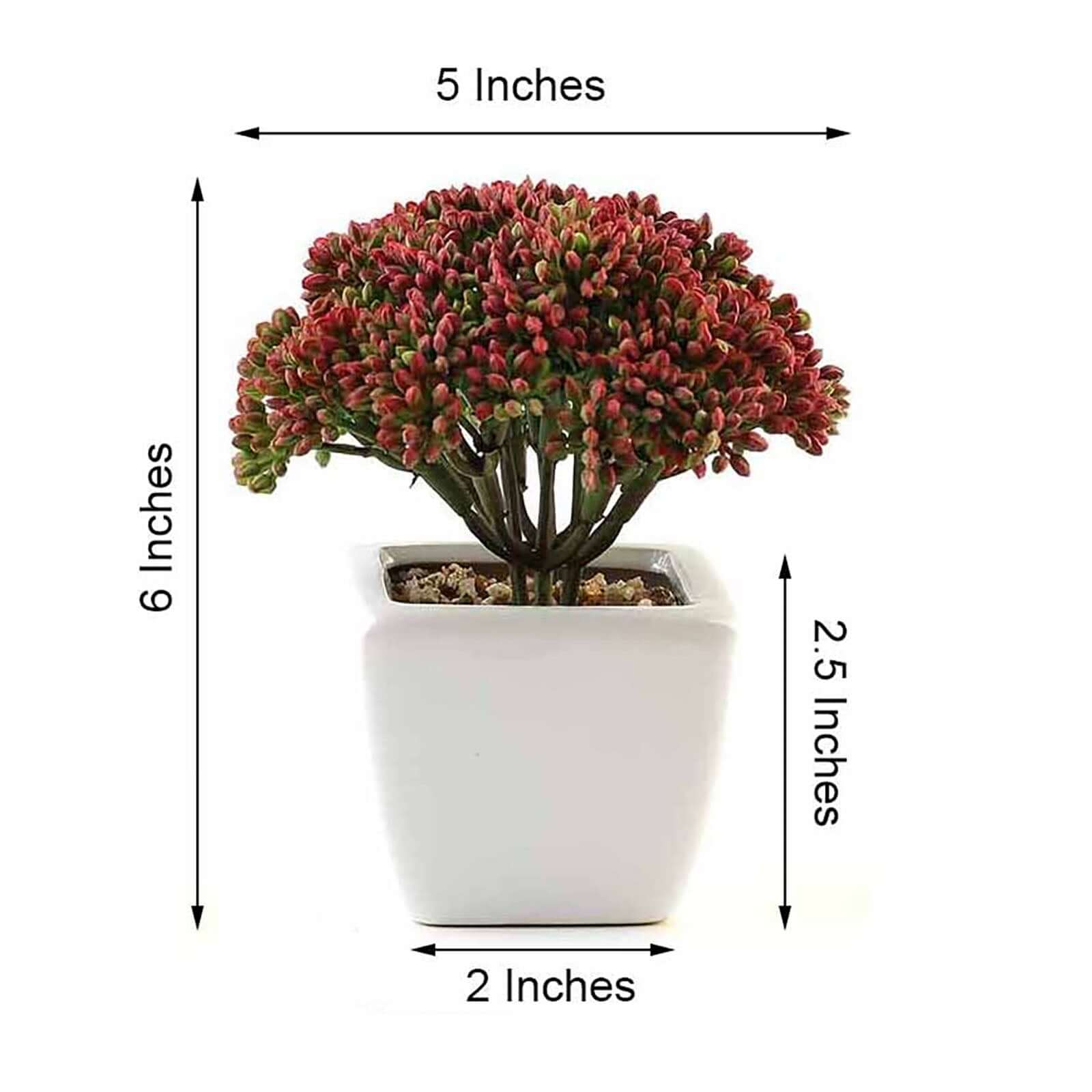 3-Pack Joy Sedum Artificial Succulents in Ceramic Pots - Lifelike Decorative Faux Plants for Home Office & Event Design 6