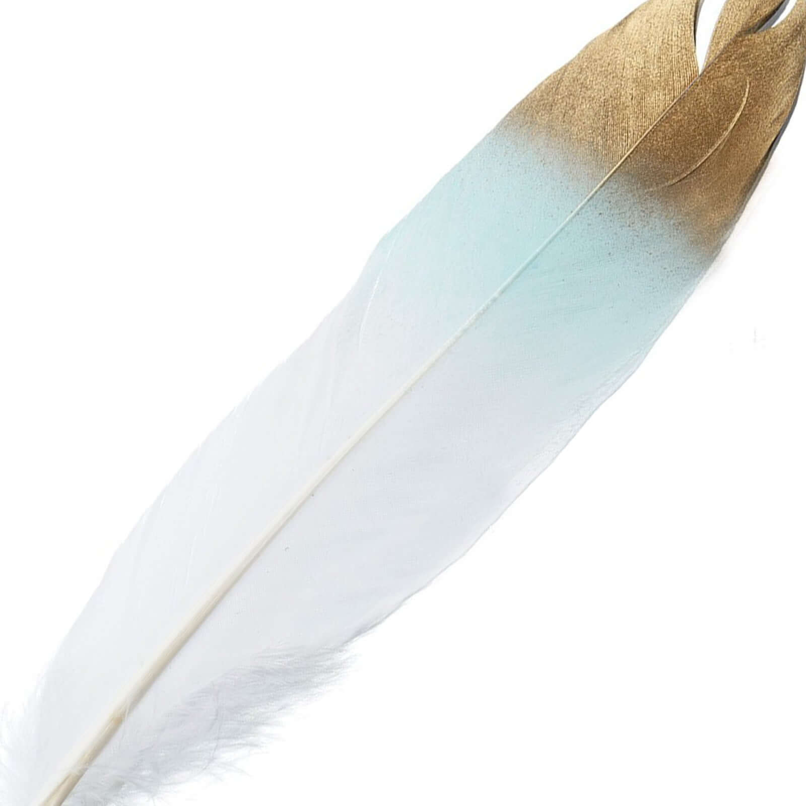 30-Pack Goose Feathers Craft Feathers Metallic Gold Tip Dual Tone Mint White - Decorative Feathers for DIY Projects