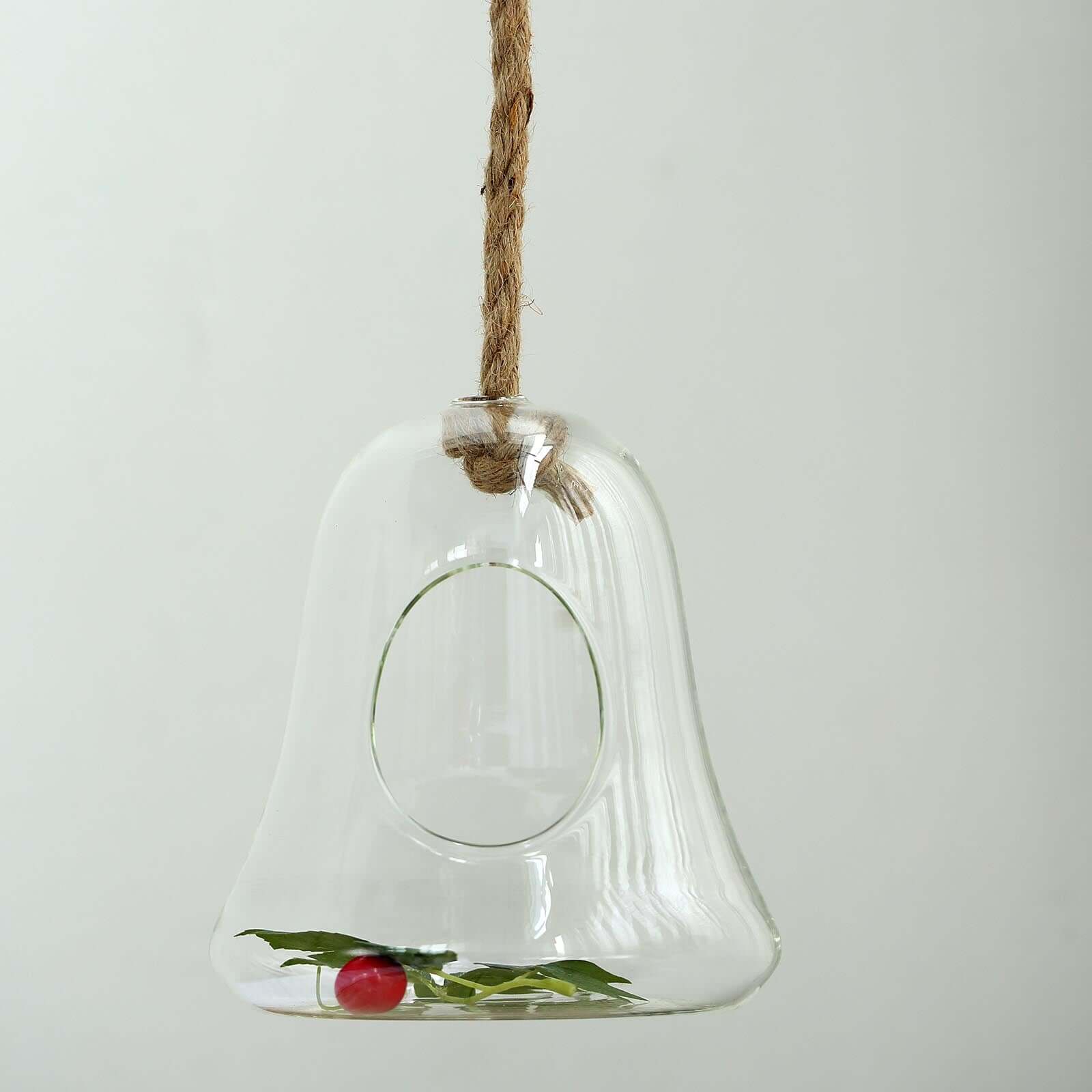 Glass Terrarium Hanging Bell Shaped Design with Twine Rope - Unique Free-Falling Planter for Air Plants & Displays 9