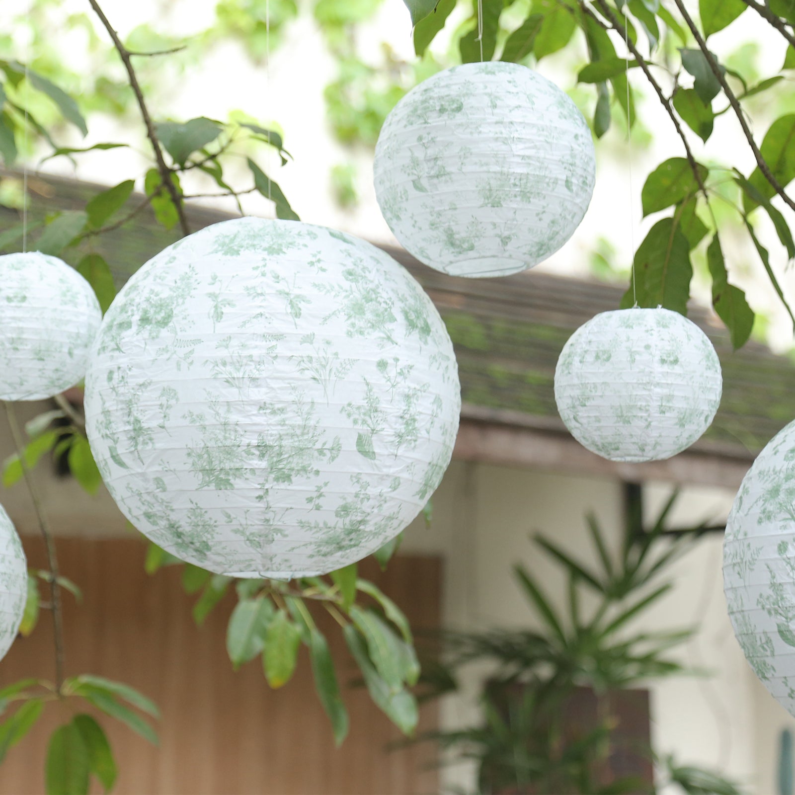 Set of 8 White Sage Green Hanging Chinese Lanterns in French Toile Floral Pattern, Festival Paper Lanterns - 6,8,10,14