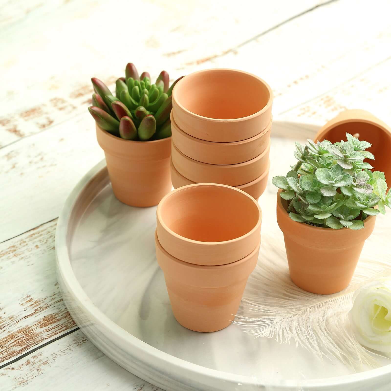 24-Pack Favor Buckets Mini Terracotta Pots Rust Design - Ceramic Clay Planters for Succulents and Cactus 2.5