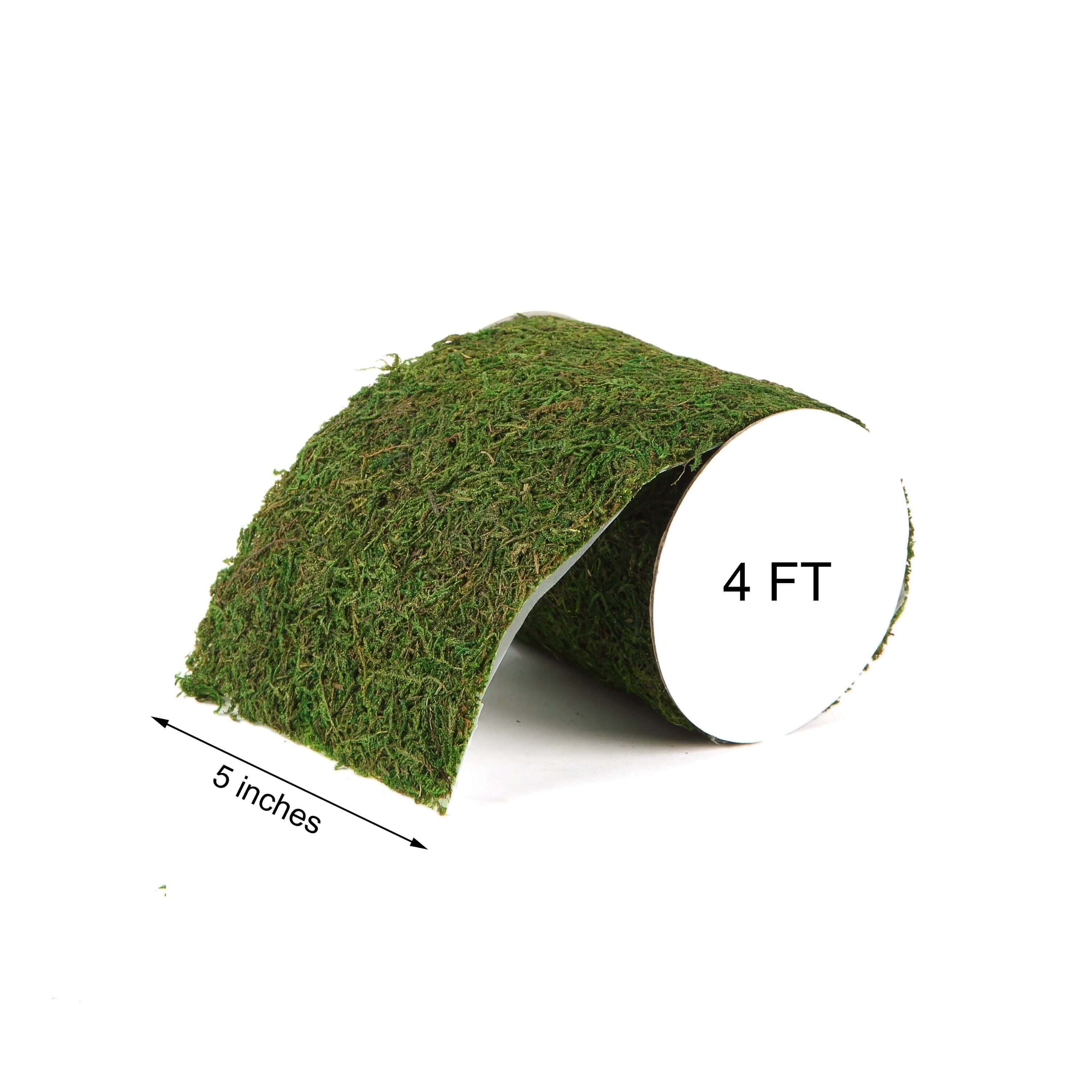 4ft 5 Wide Green Preserved Moss Ribbon Roll, DIY Craft Ribbon