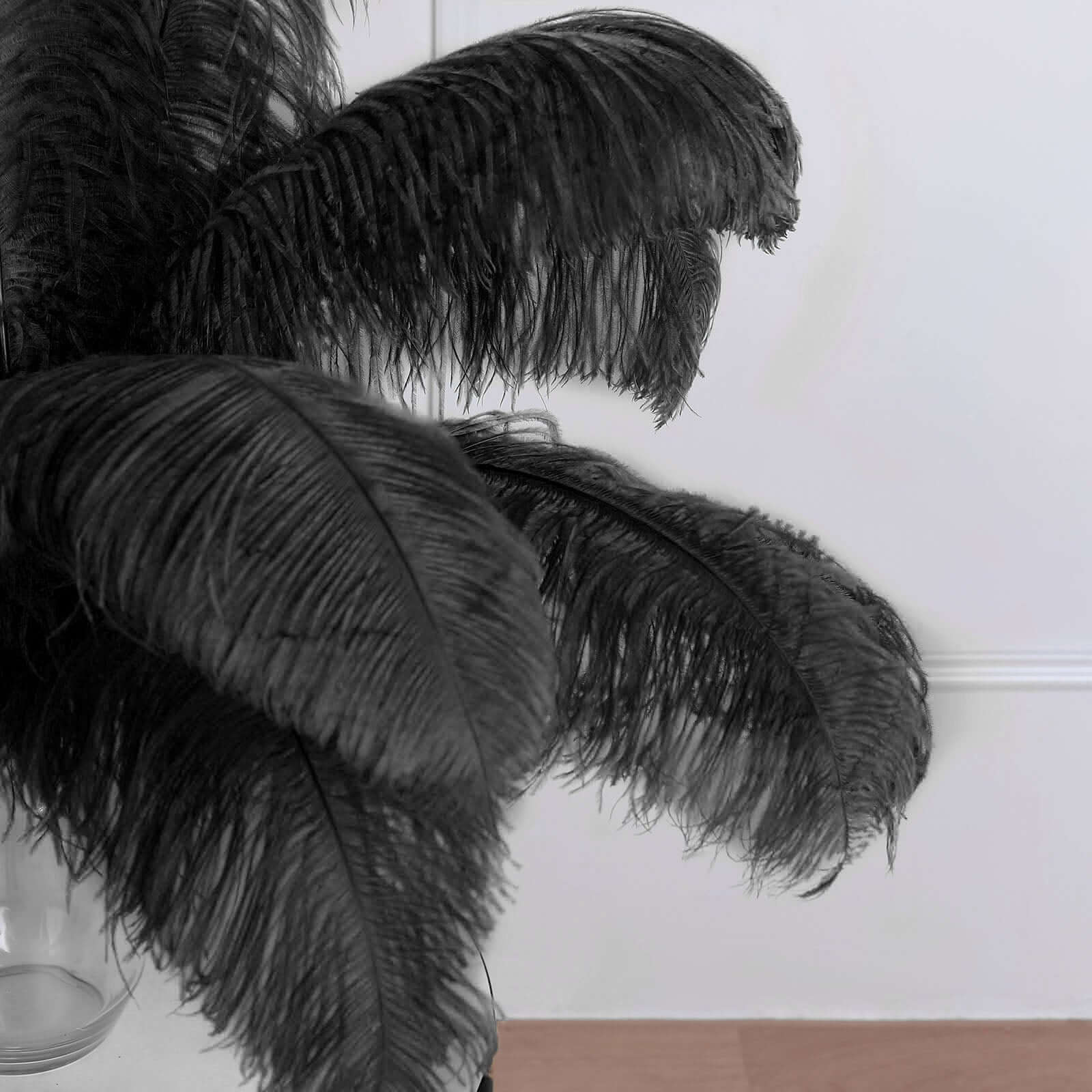 12 Pack Black Natural Plume Ostrich Feathers Centerpiece Filler - 24-26